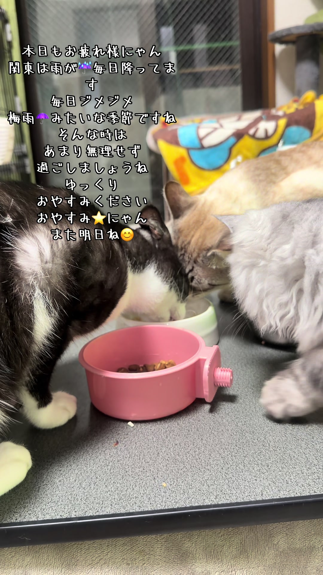@🥀黒澤正志🥀