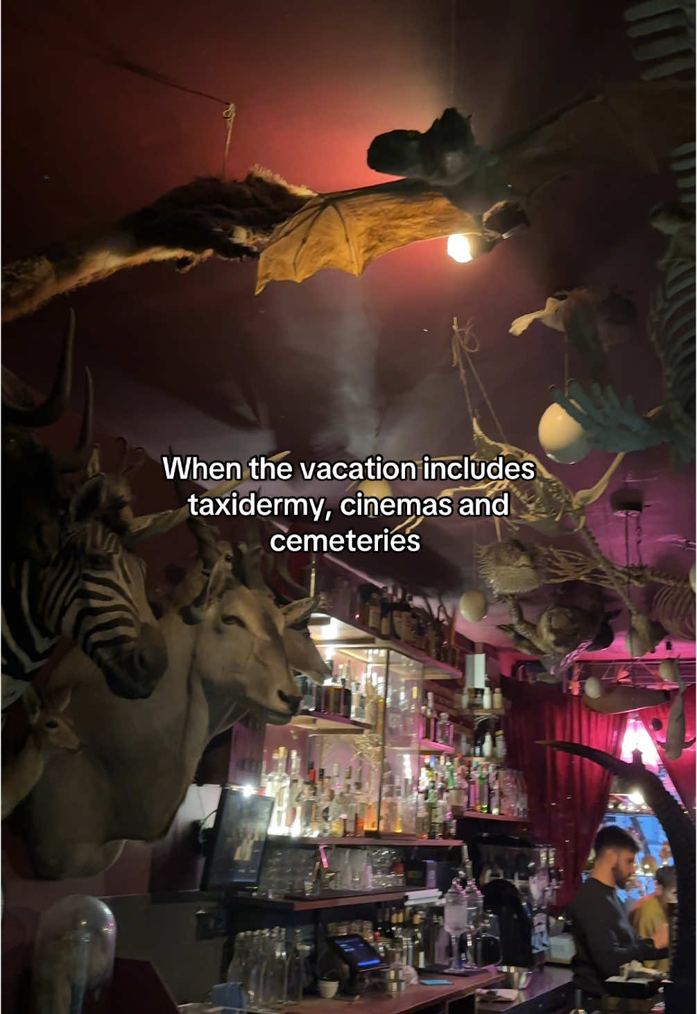 @April🎪