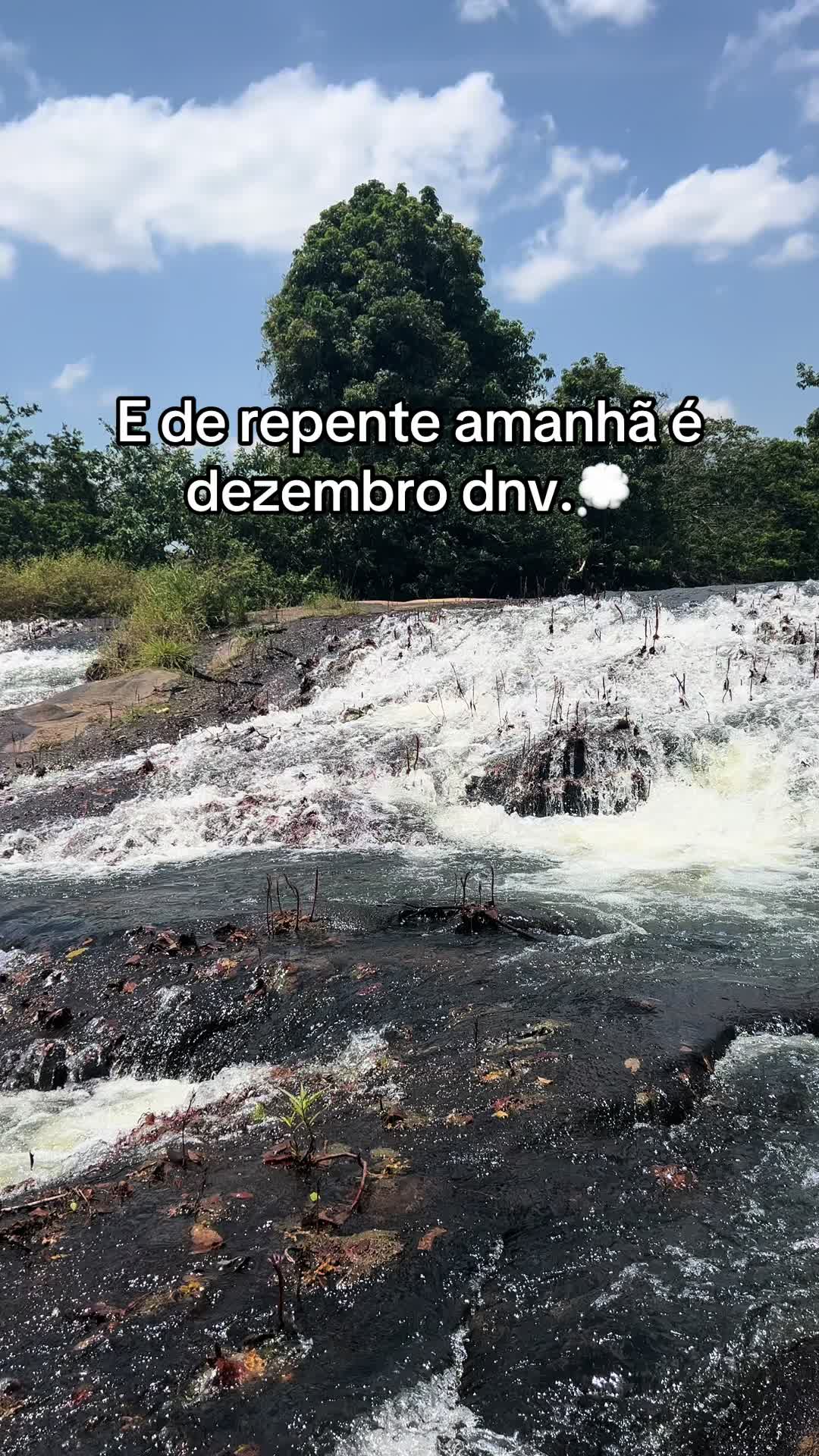 @1.cachinhos