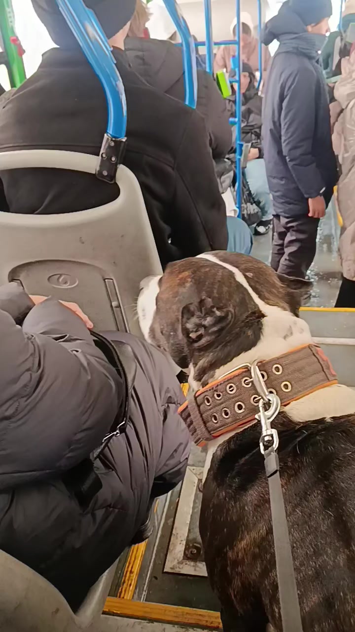 @Роман