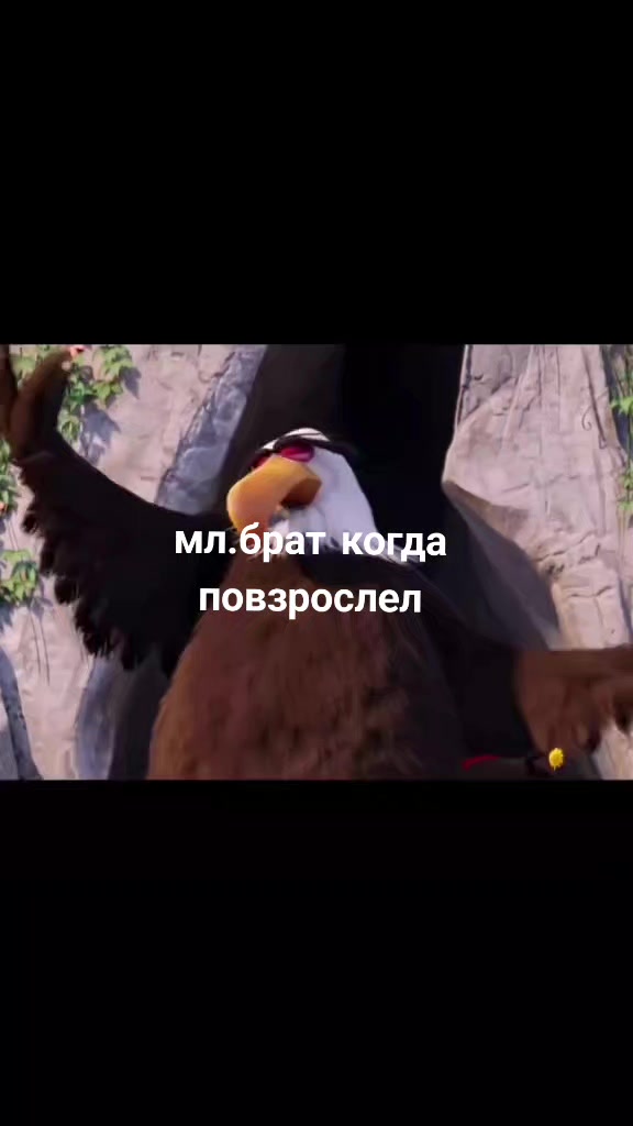 @kv-44