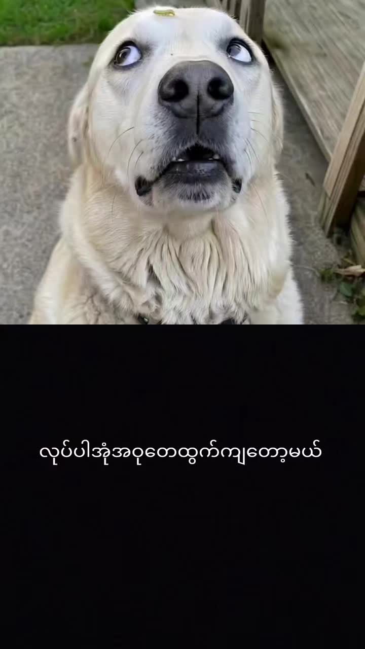 @myohlaingwin