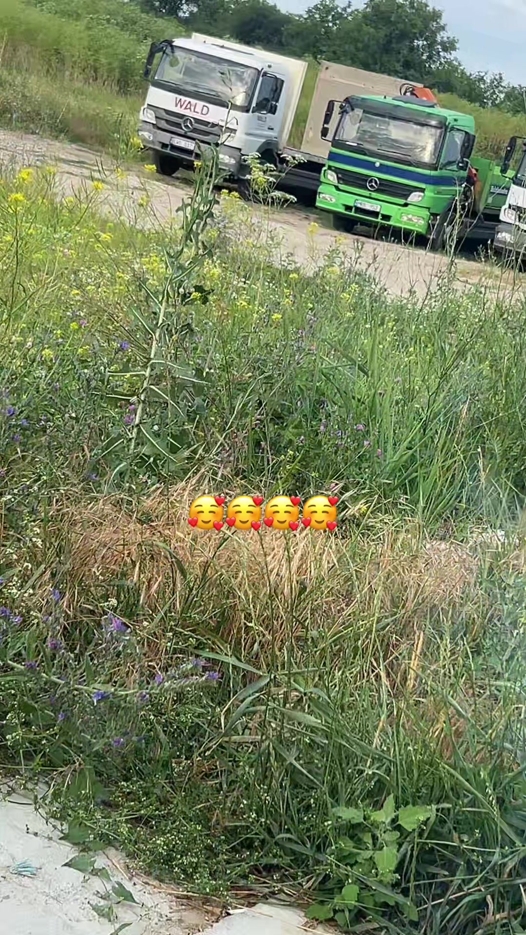 @valic .valic