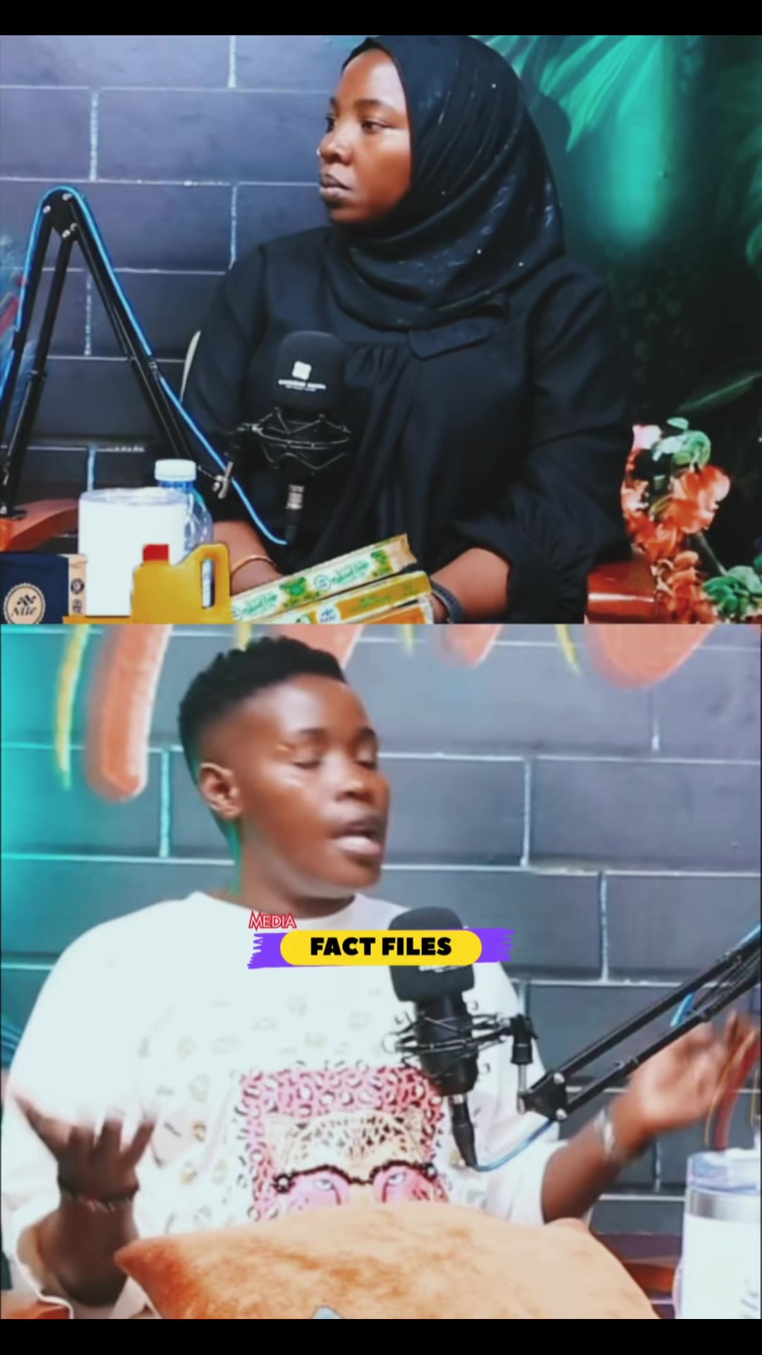 @FactFilesMedia