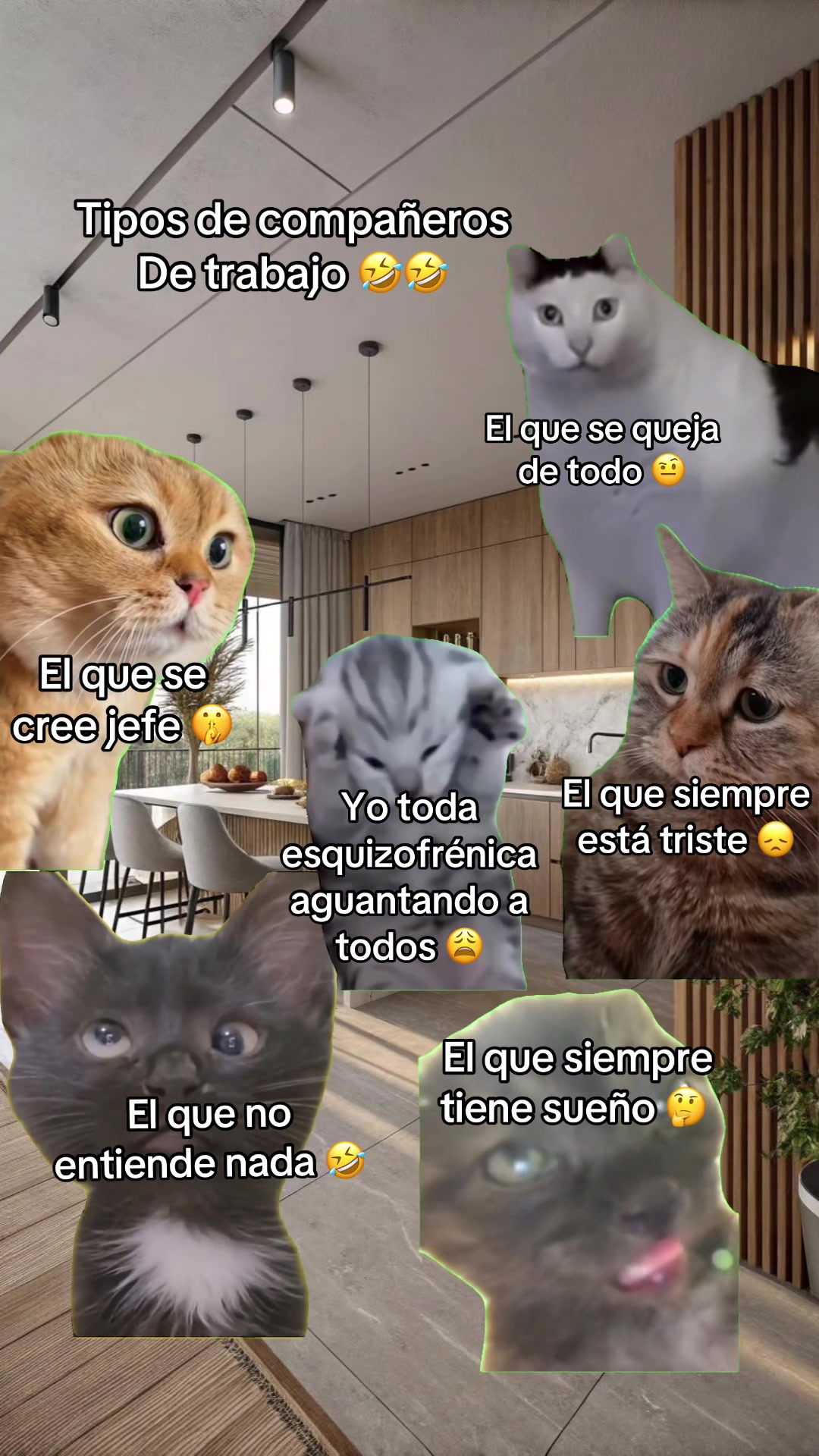 @LUZ RUEDA