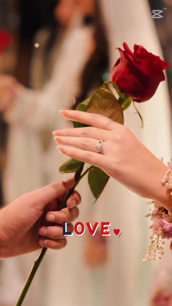 @Tig&hearts;