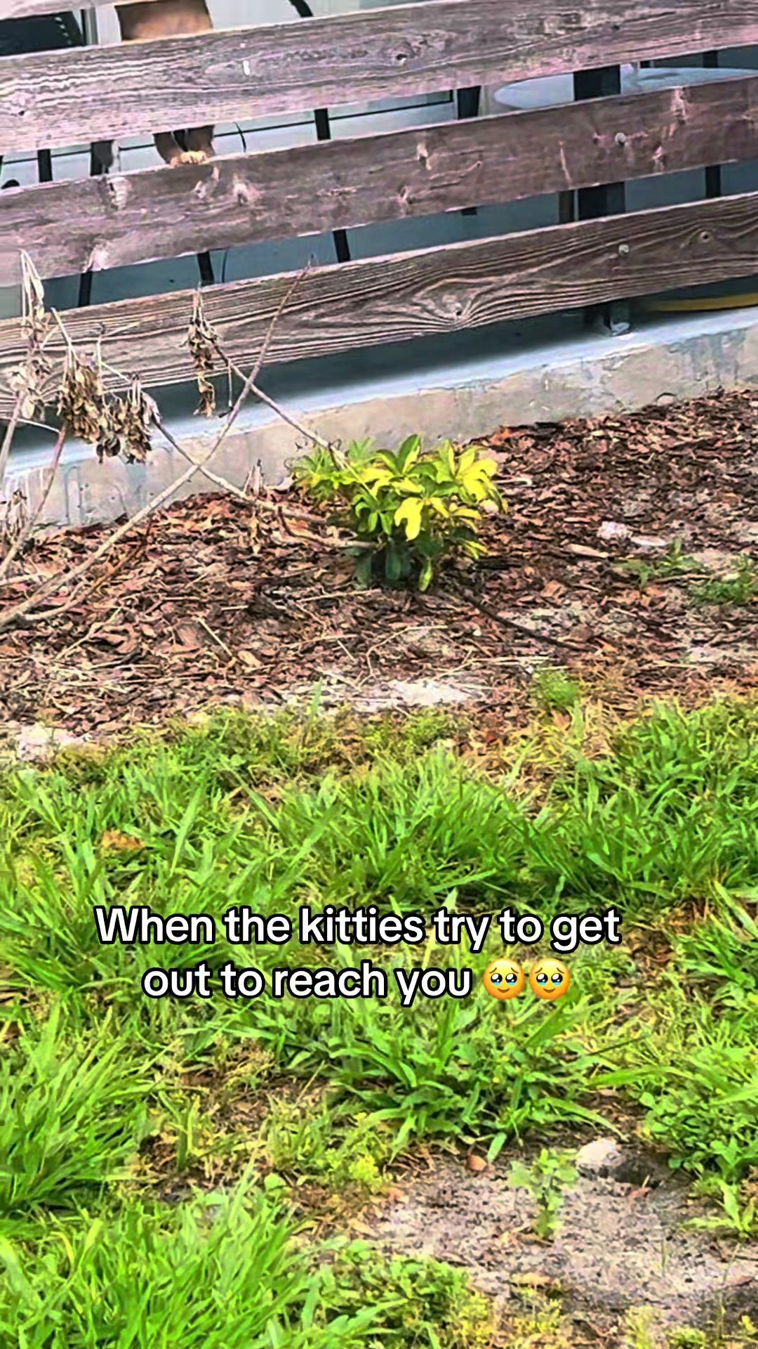@Addy