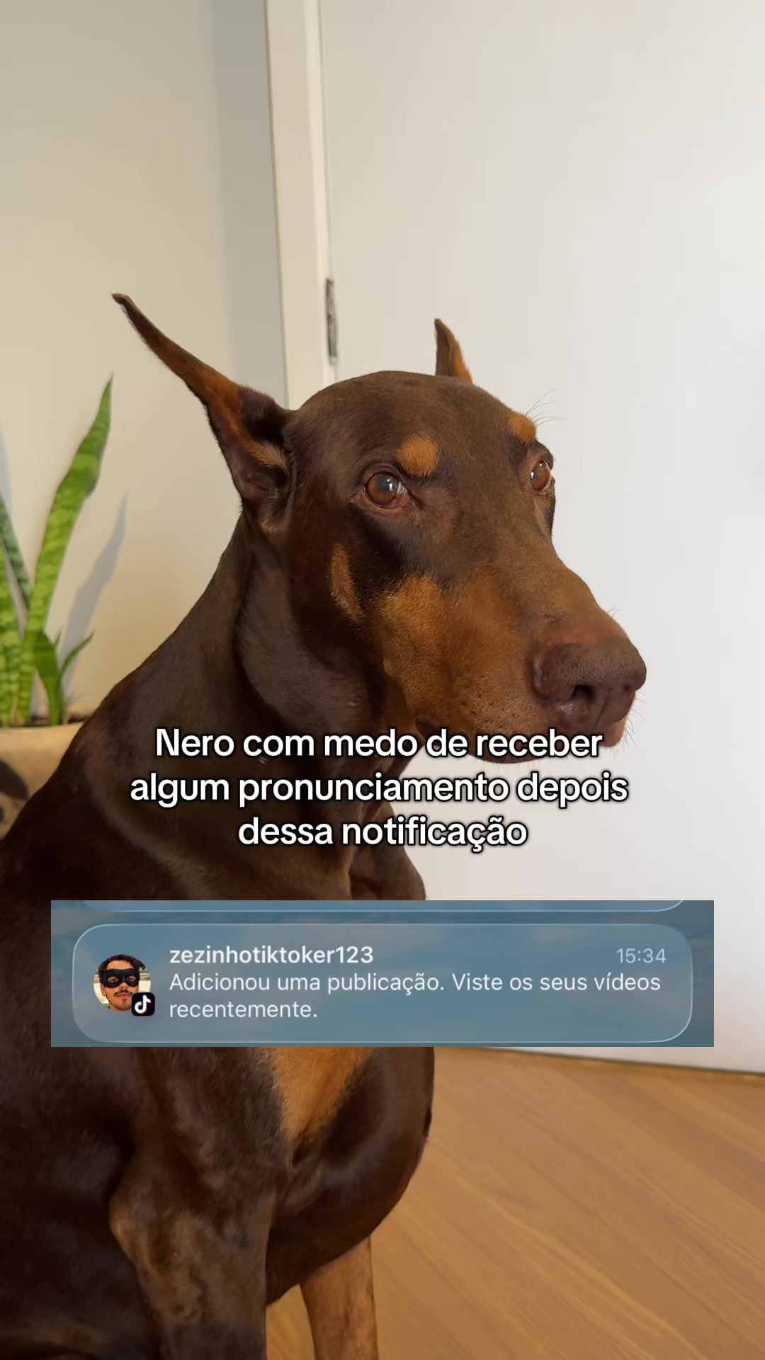 @Gabriel Di Garcia