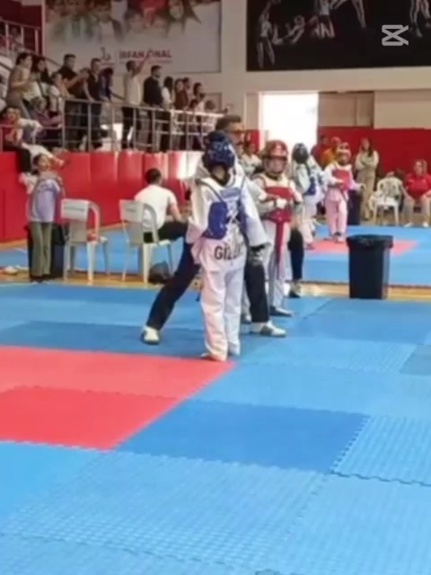 @Gizem🥋☝