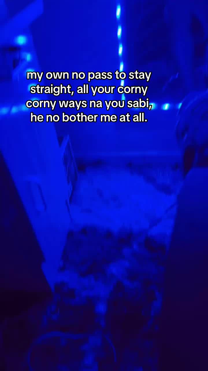 @Say hey to Bruno