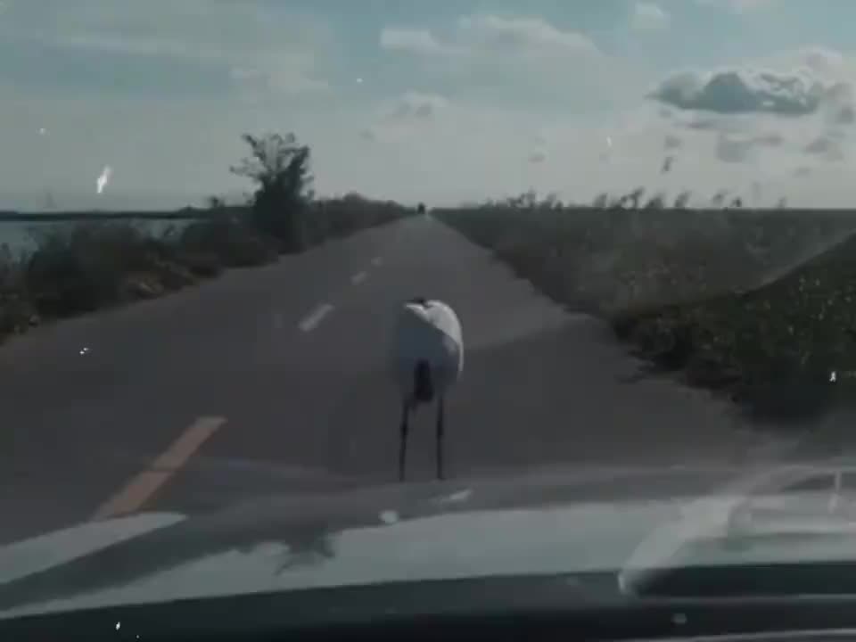@ᰔᩚ᭄ℛ人心❤️难测꧔ꦿᩚ࿐🕊