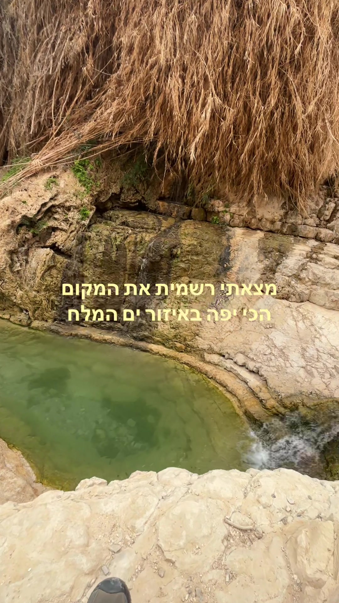 @תמרי🇺🇸🇮🇱