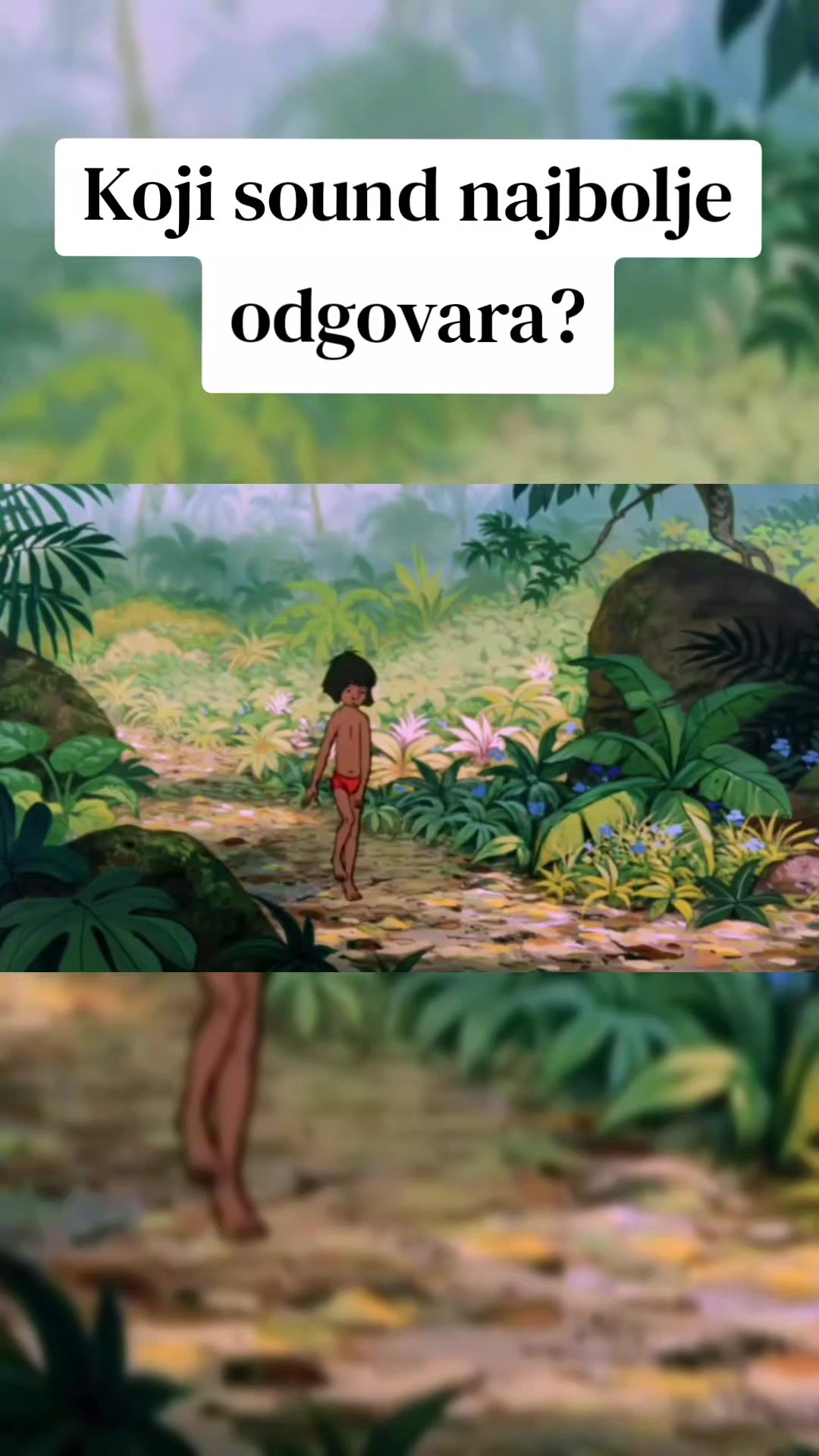 @𝟽𝟽𝟽