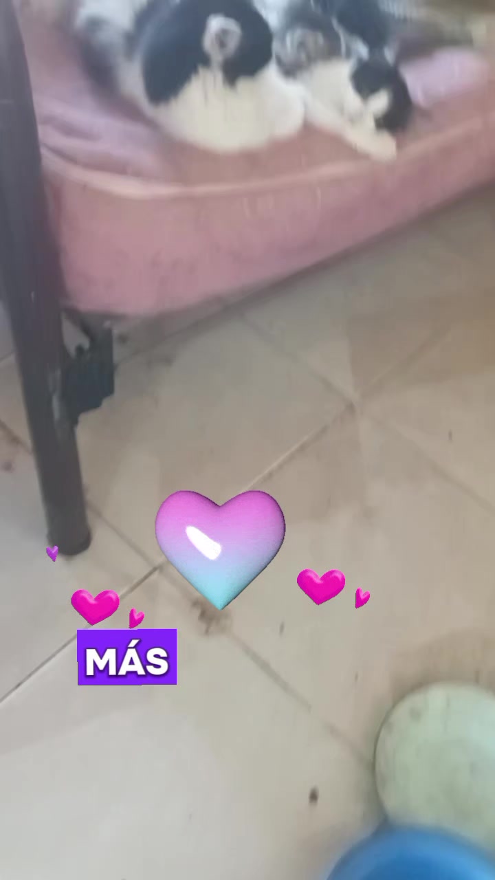 @lovera