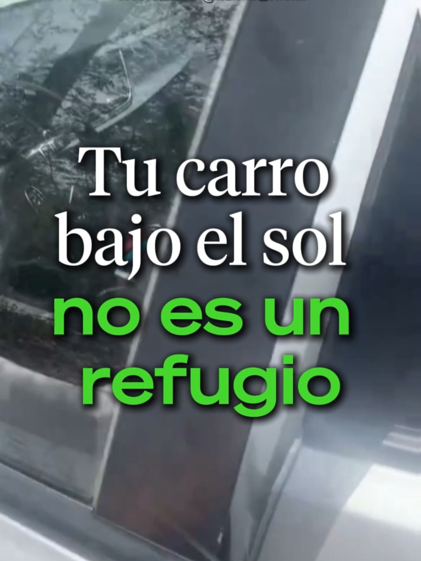 @Ahora Entiendo