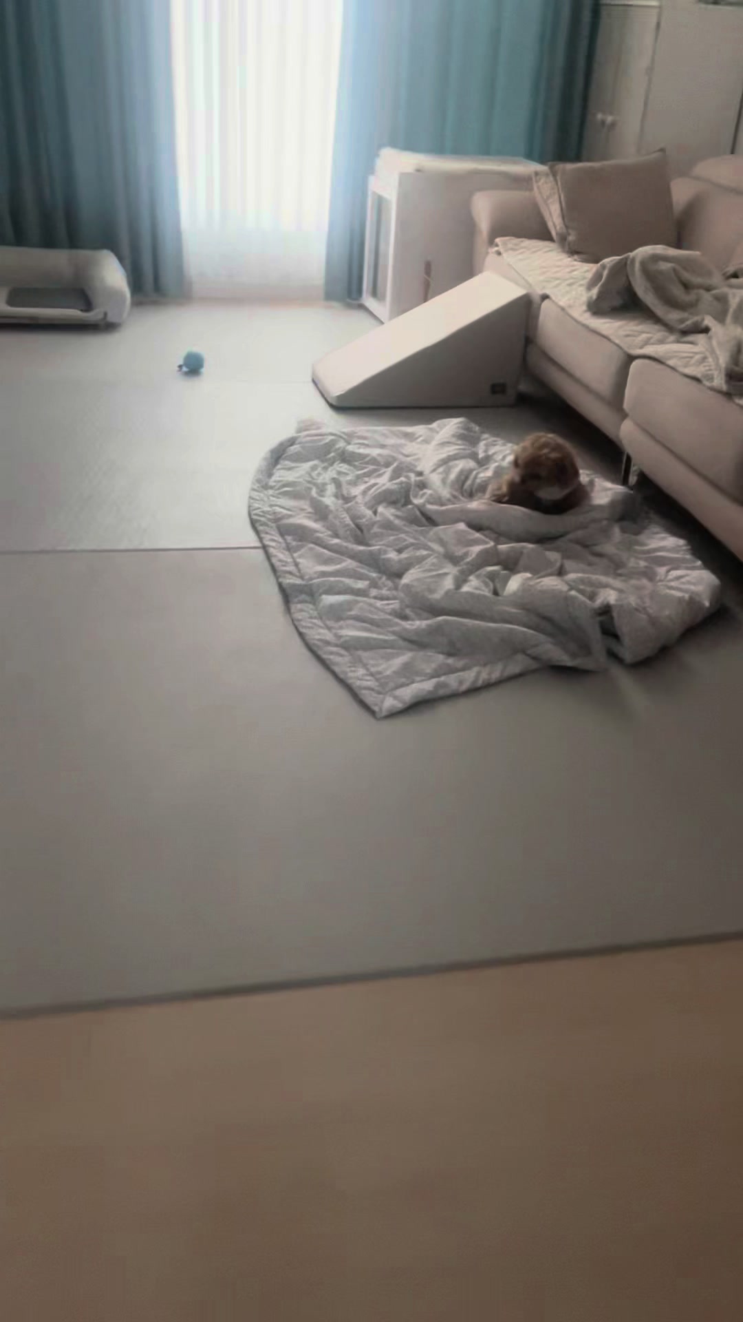 @꼬미