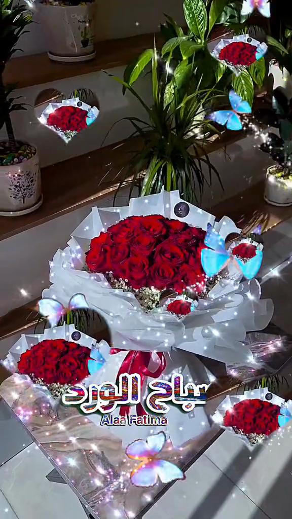 @Alaa Fatima