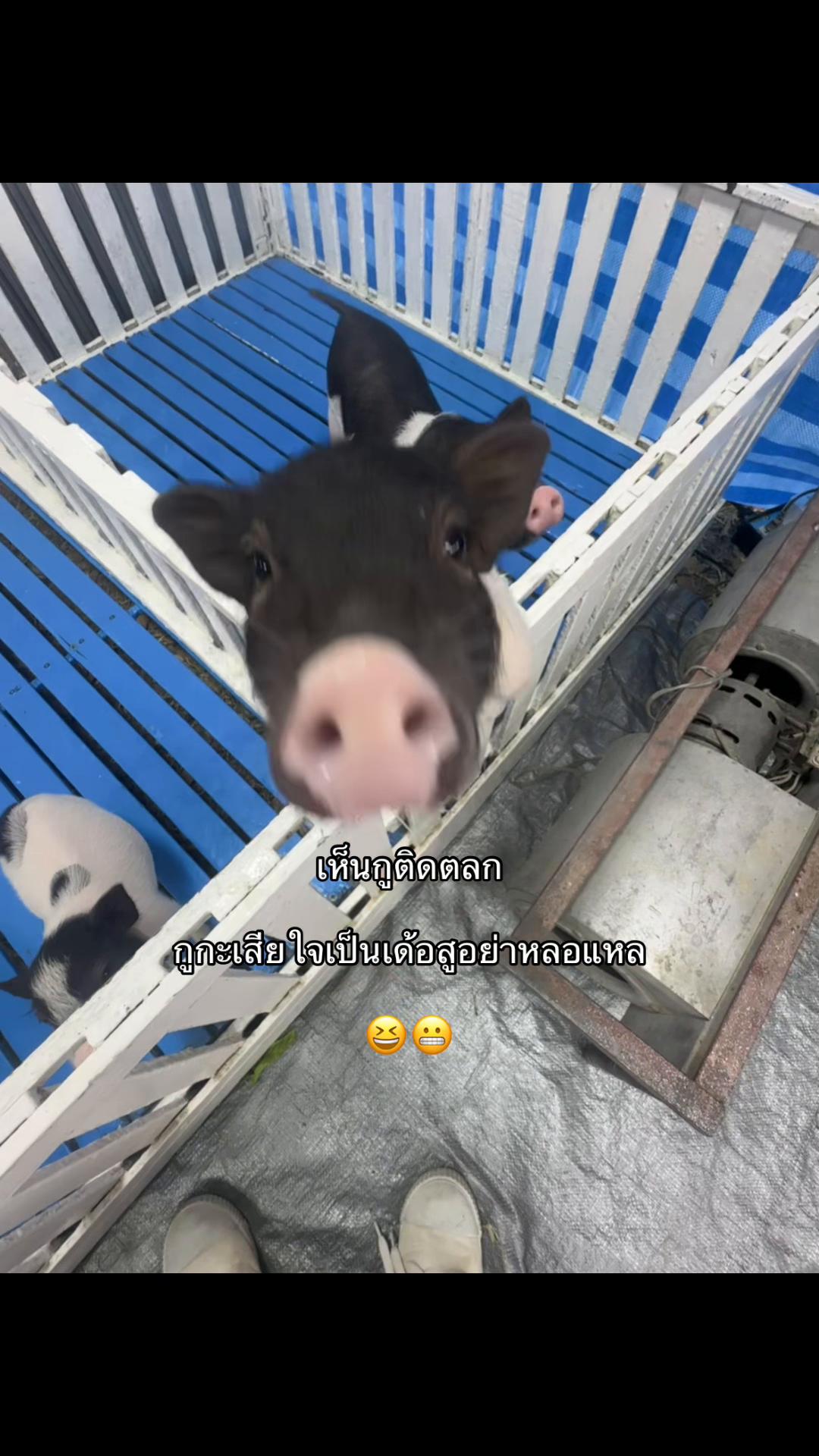 @เธรดจ้าเองง🤟🏻😘