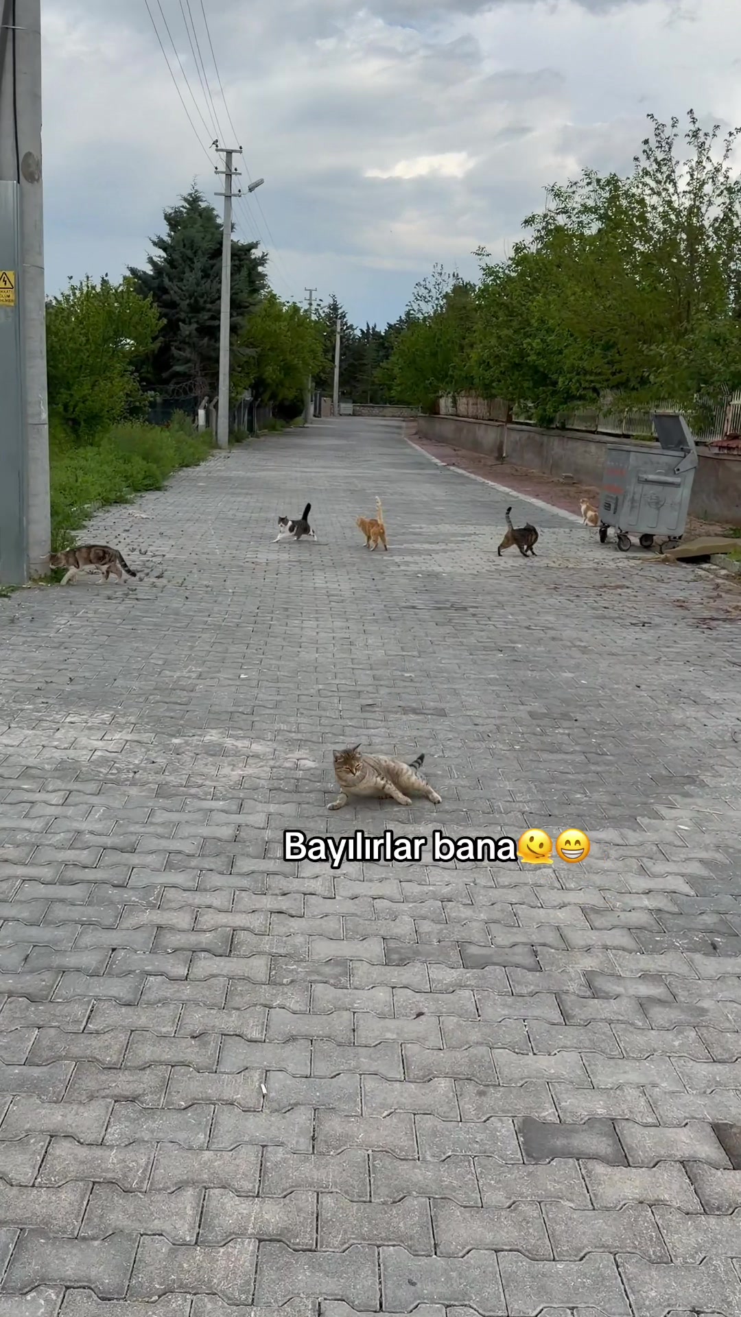 @𝐒𝐔𝐌𝐄𝐘𝐑𝐀 𝐓𝐏