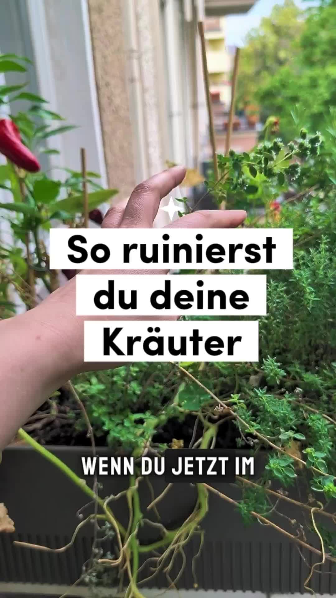 @ErnteExperte