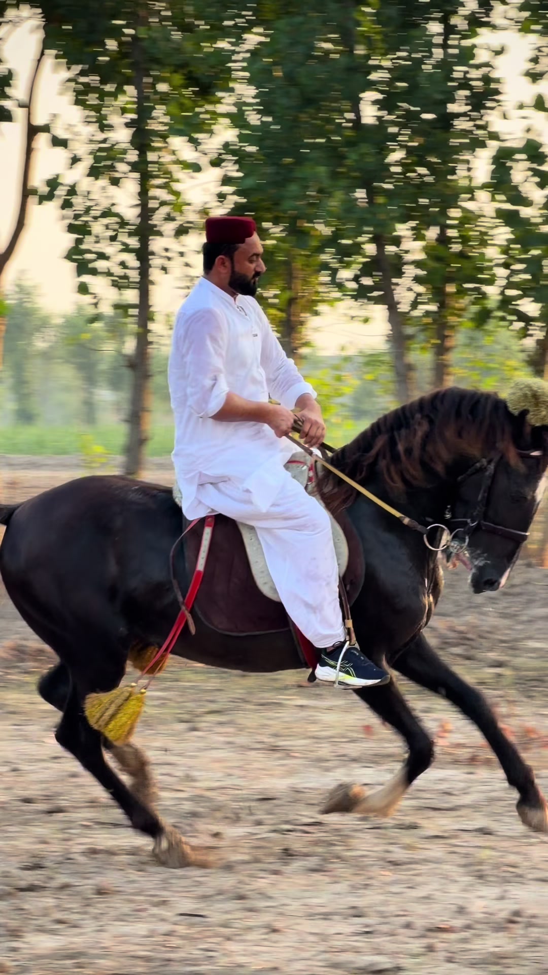 @Faisal Altaf Bosal