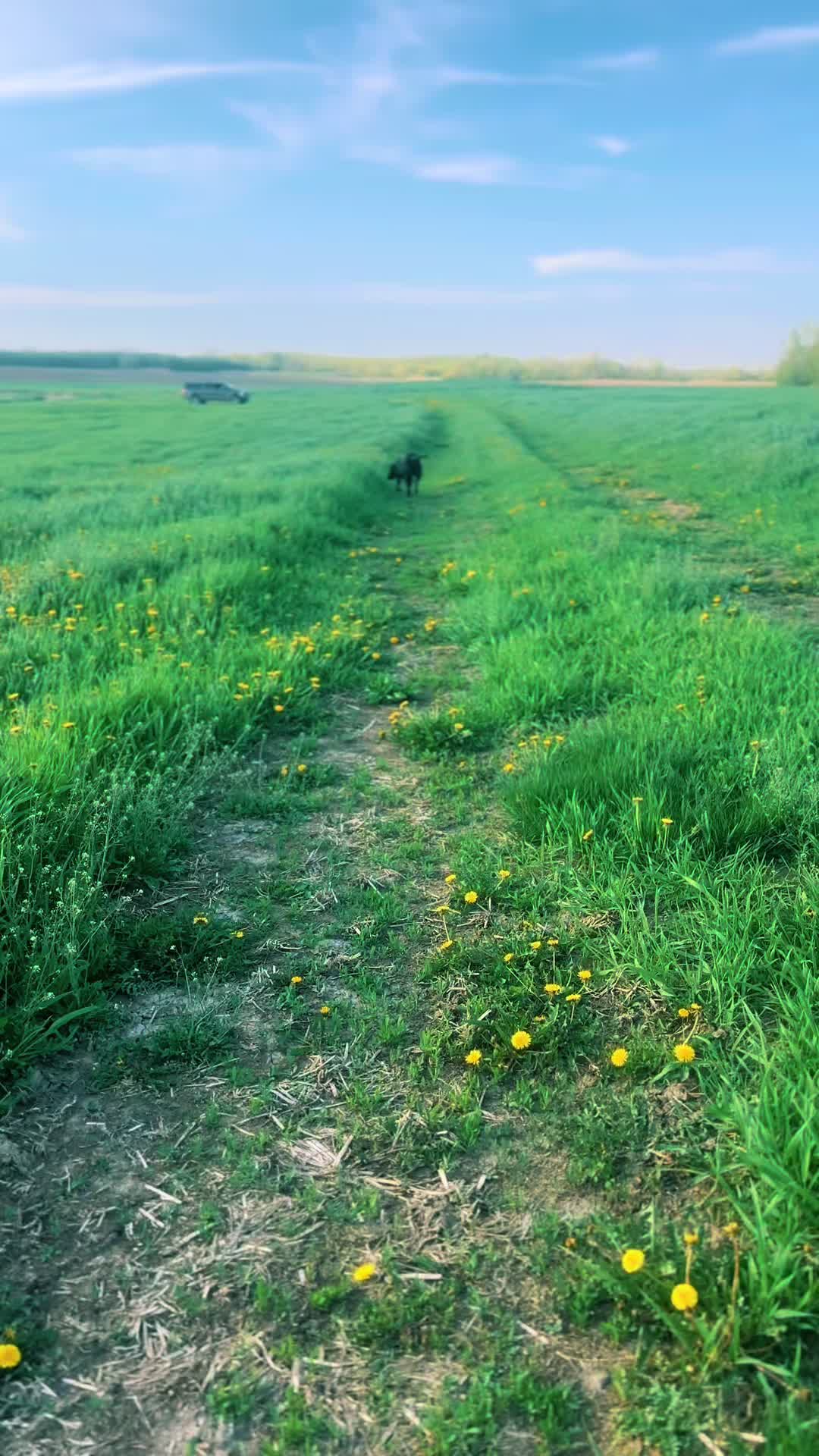 @akgwtrfwl🦆