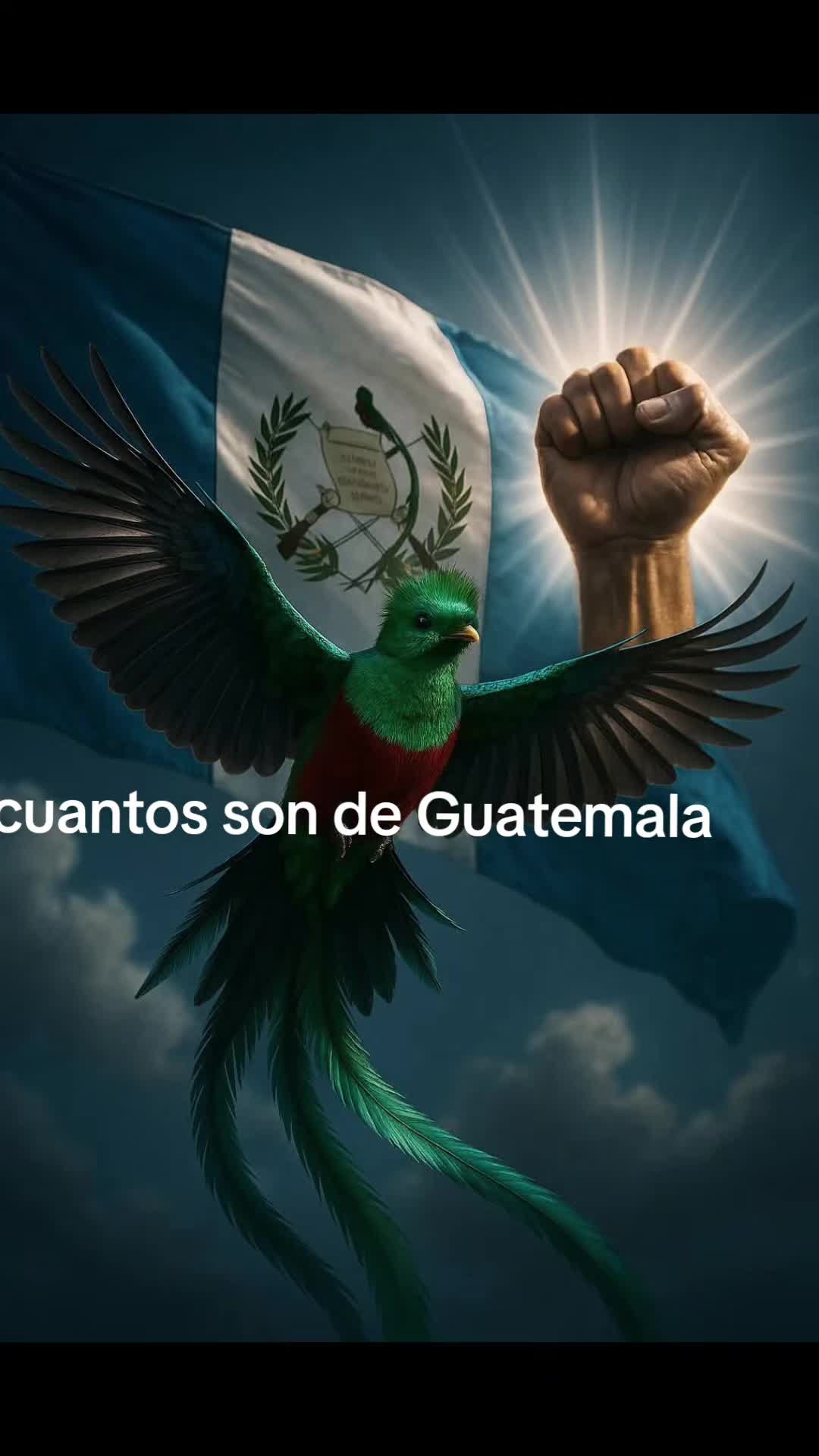 @juanmorales36137