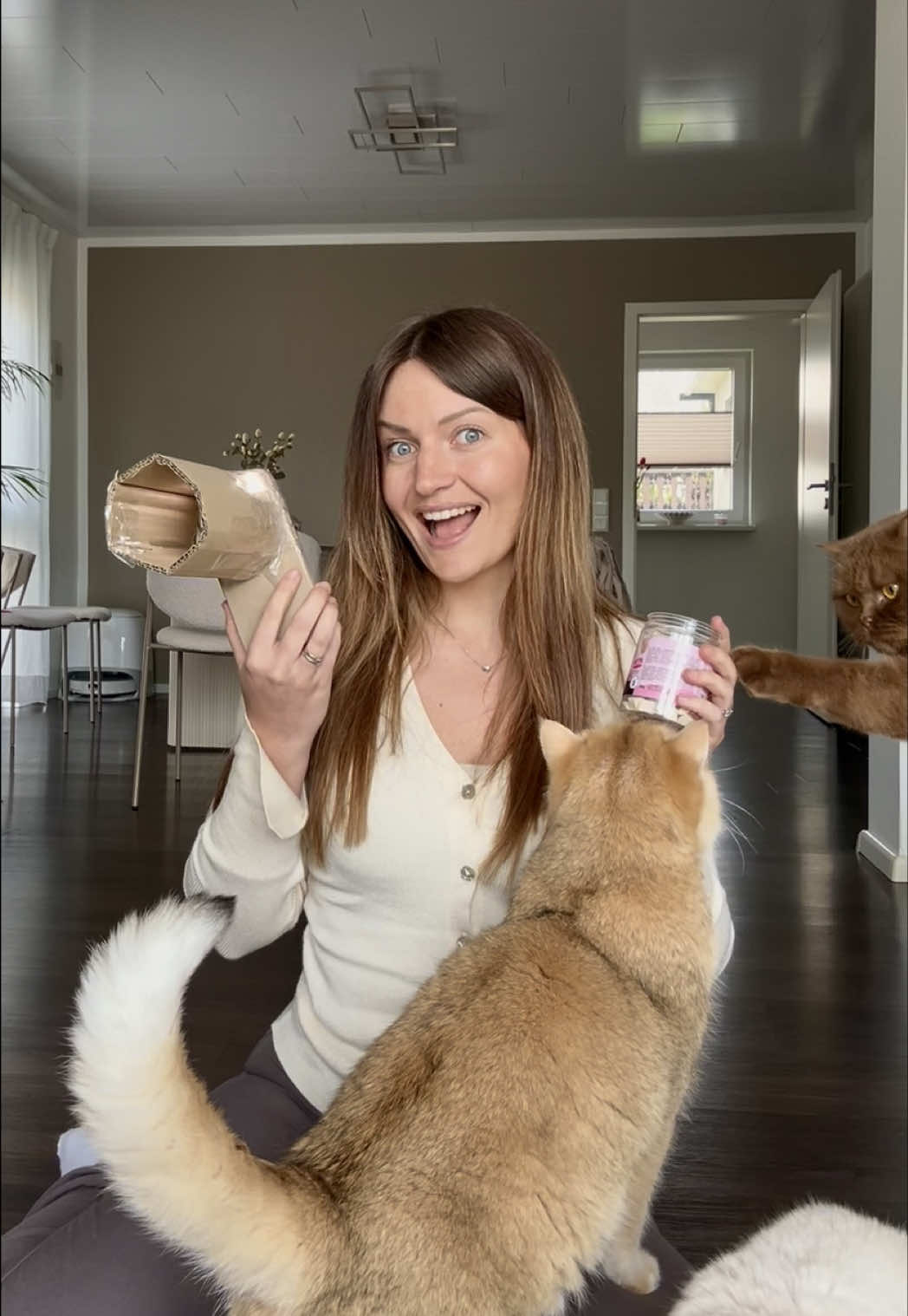 @Sinascolorcats