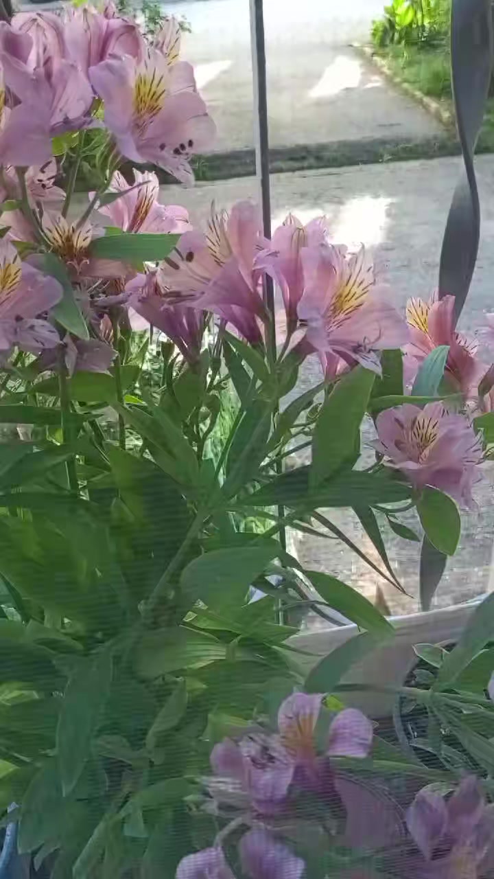 @natali79