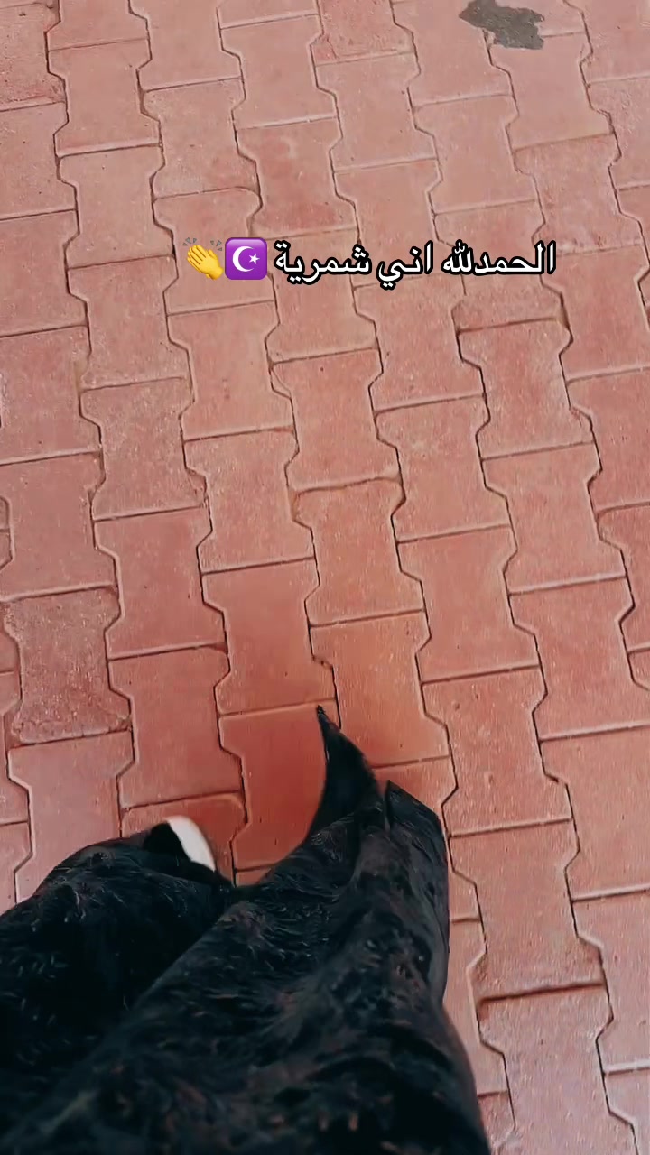 @الشمرية ☪︎ بنت الكويت 🇰🇼