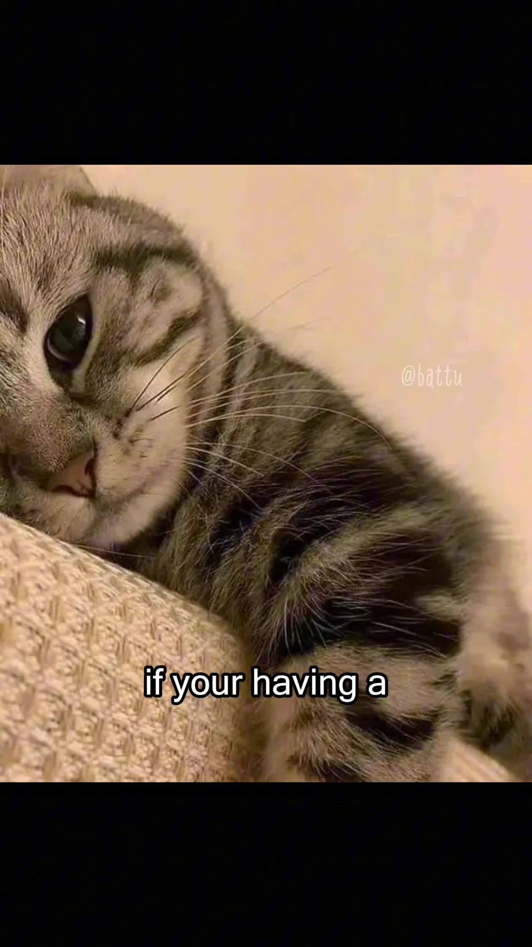 @Battu