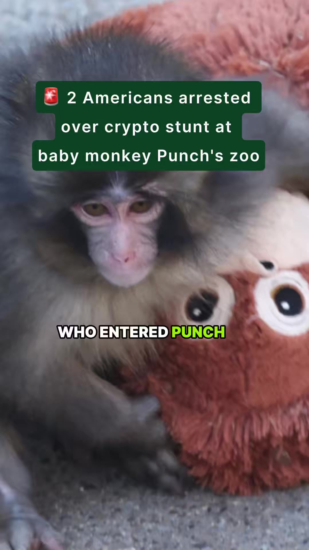 @CoinGecko | Crypto Explained