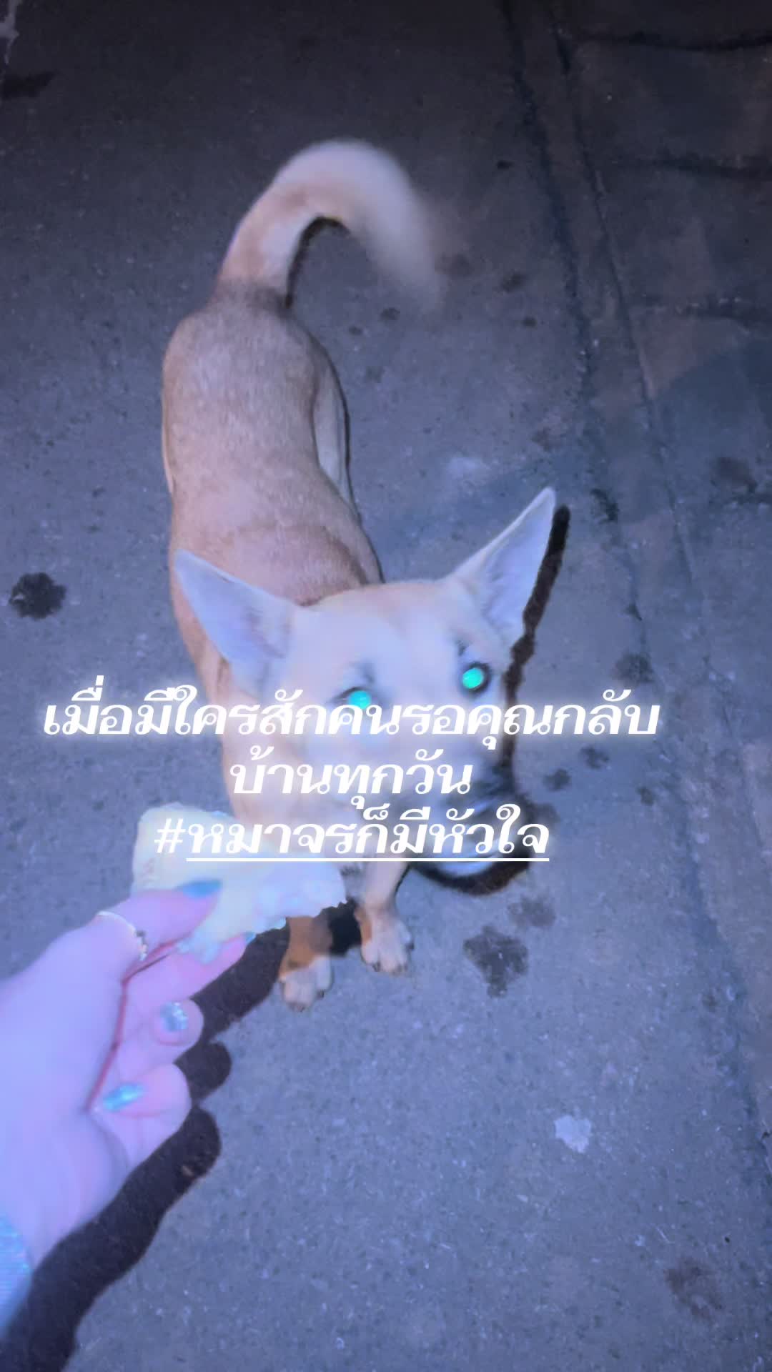 @🔯🌟태연 🌟🔯