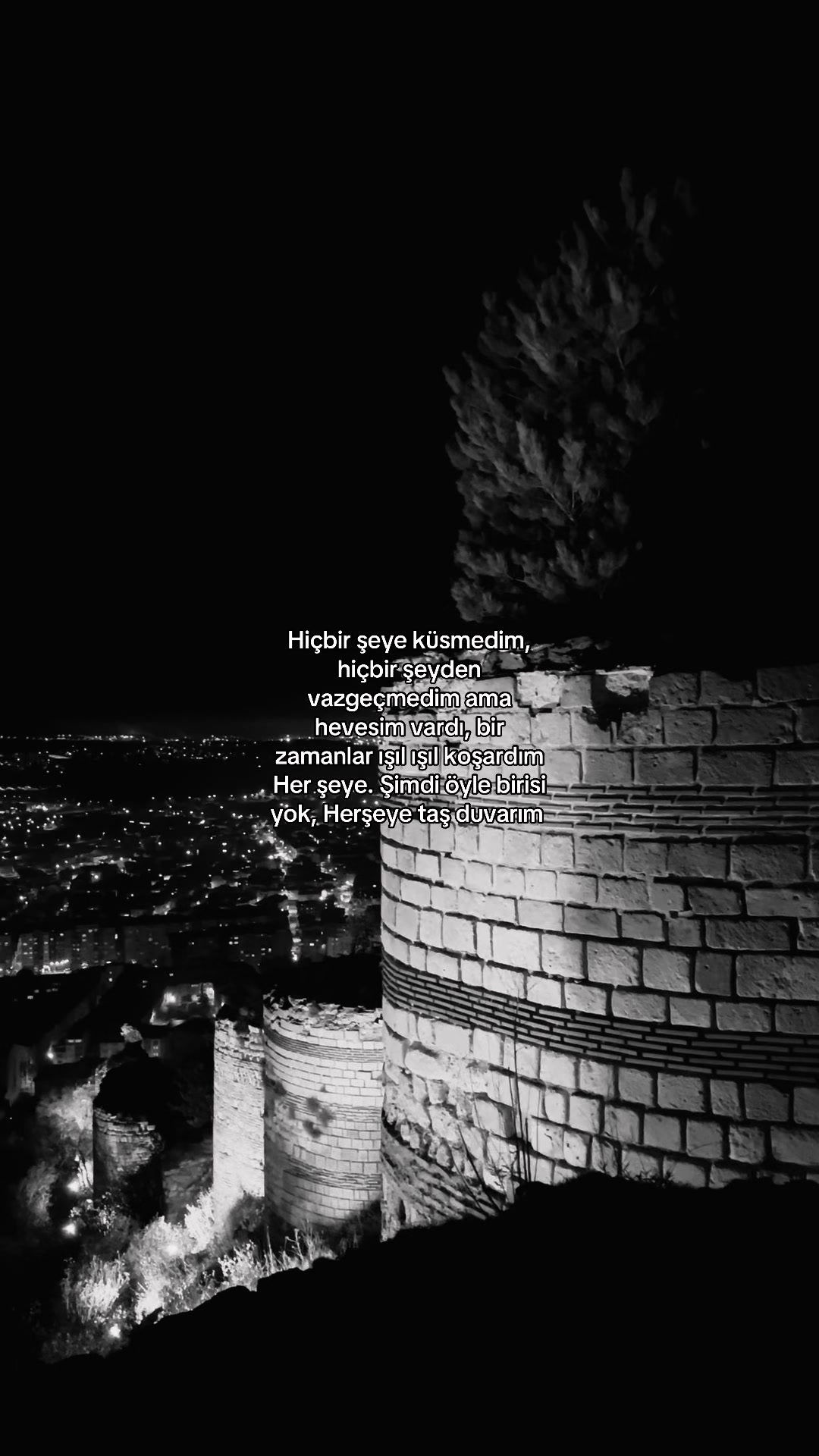 @Veysel