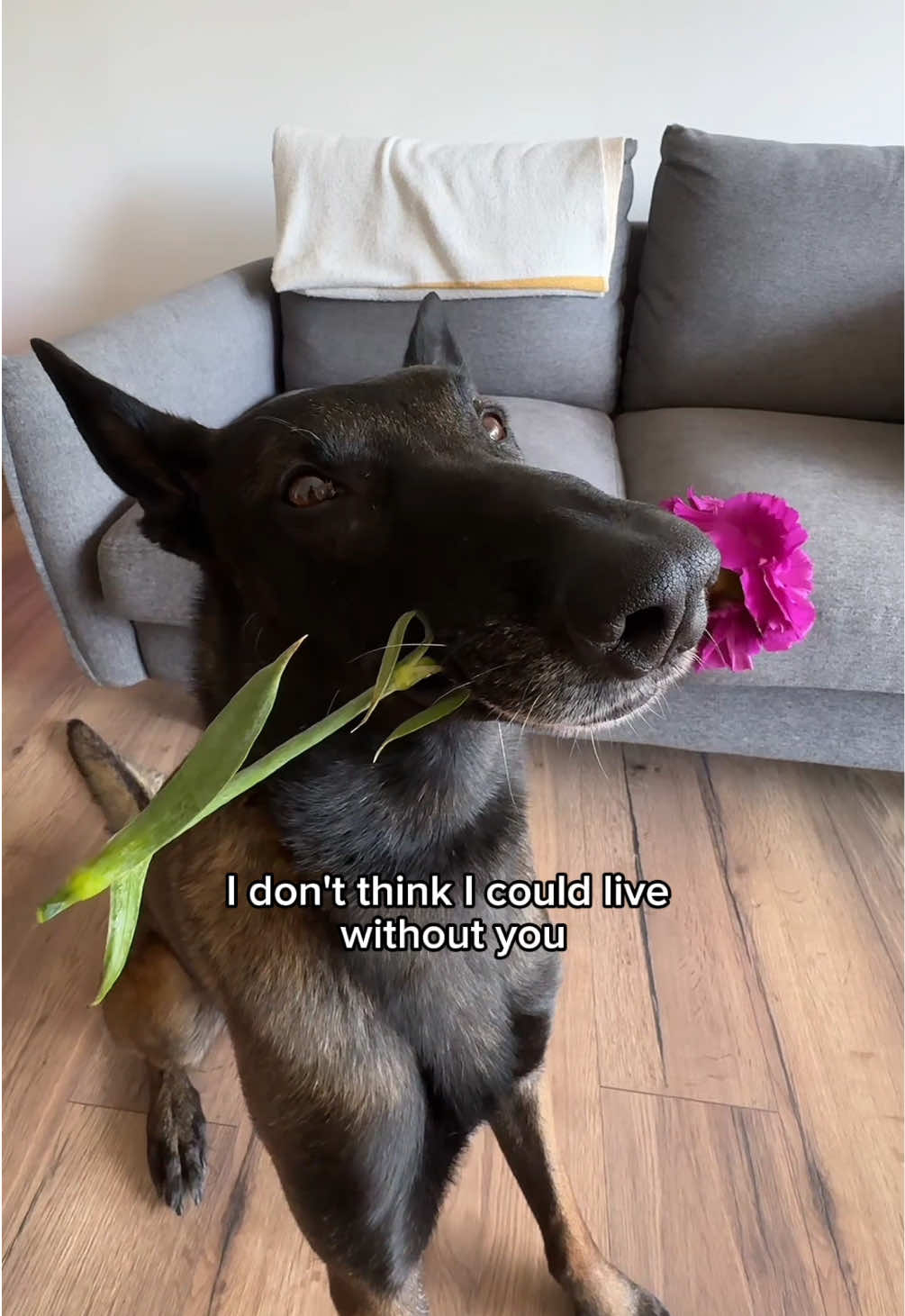 @Andie and Magnus