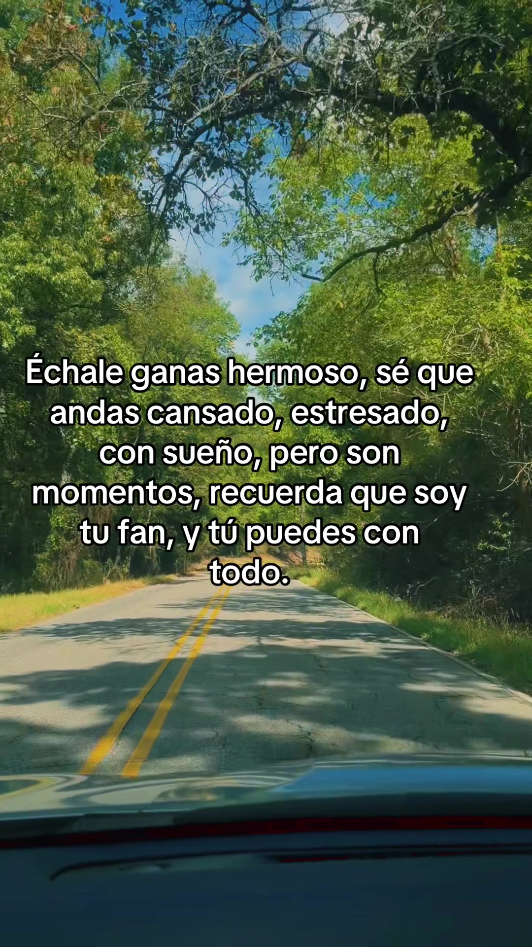 @Rosymoreno