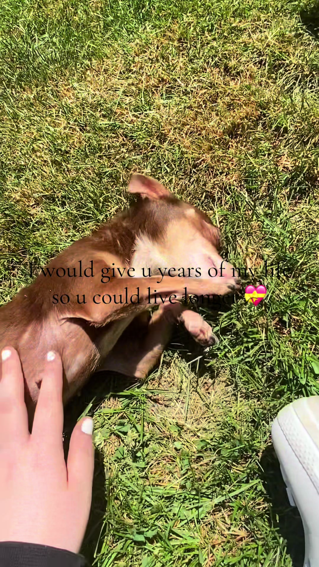 @โαηα๐ชธ๐ท๐