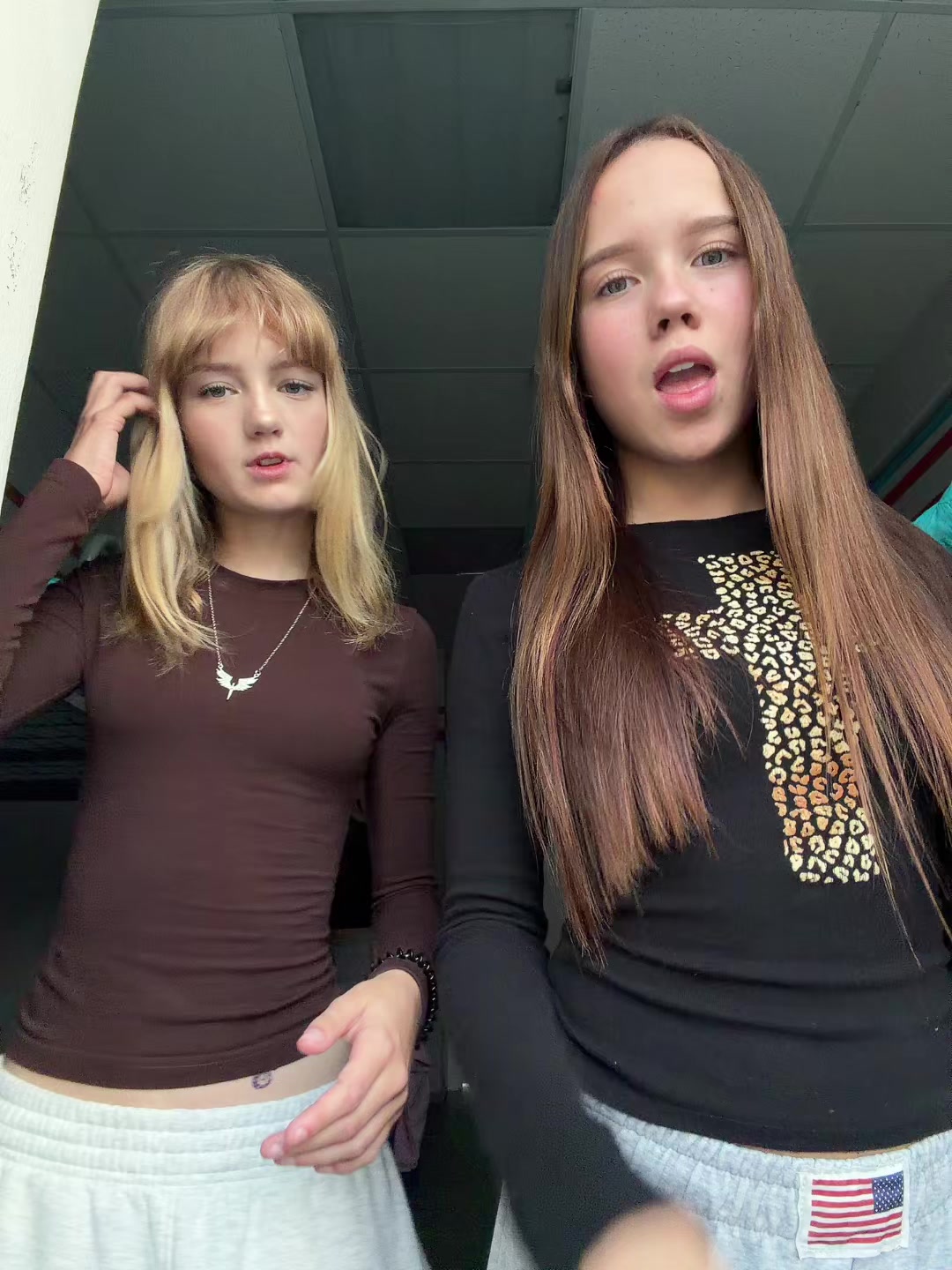 @Shibaaa