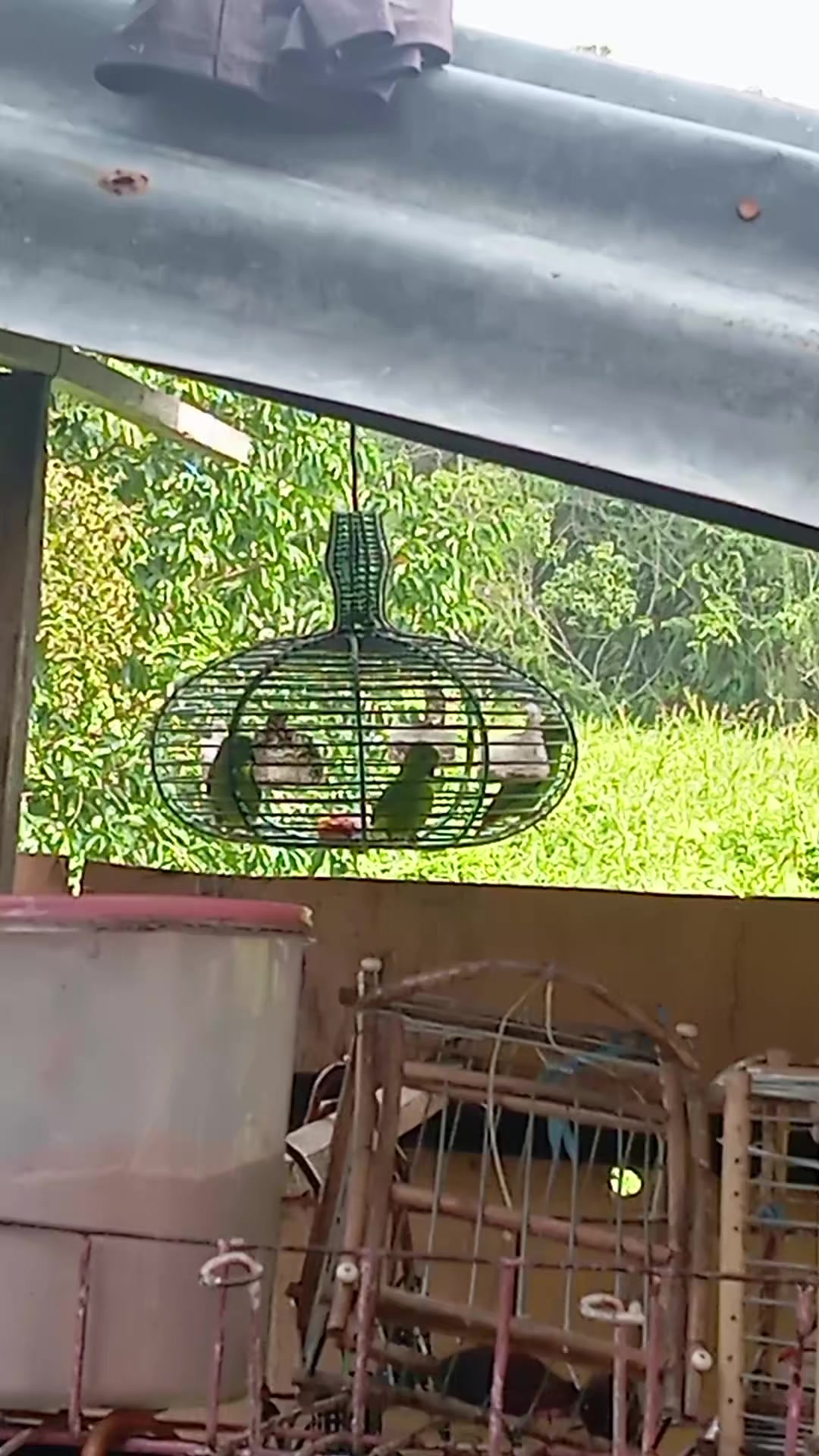 @Srindit kaltara 🦜