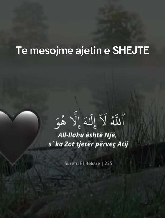 @🌙 Qet&euml;si &bull; Besim &bull; Drit&euml;