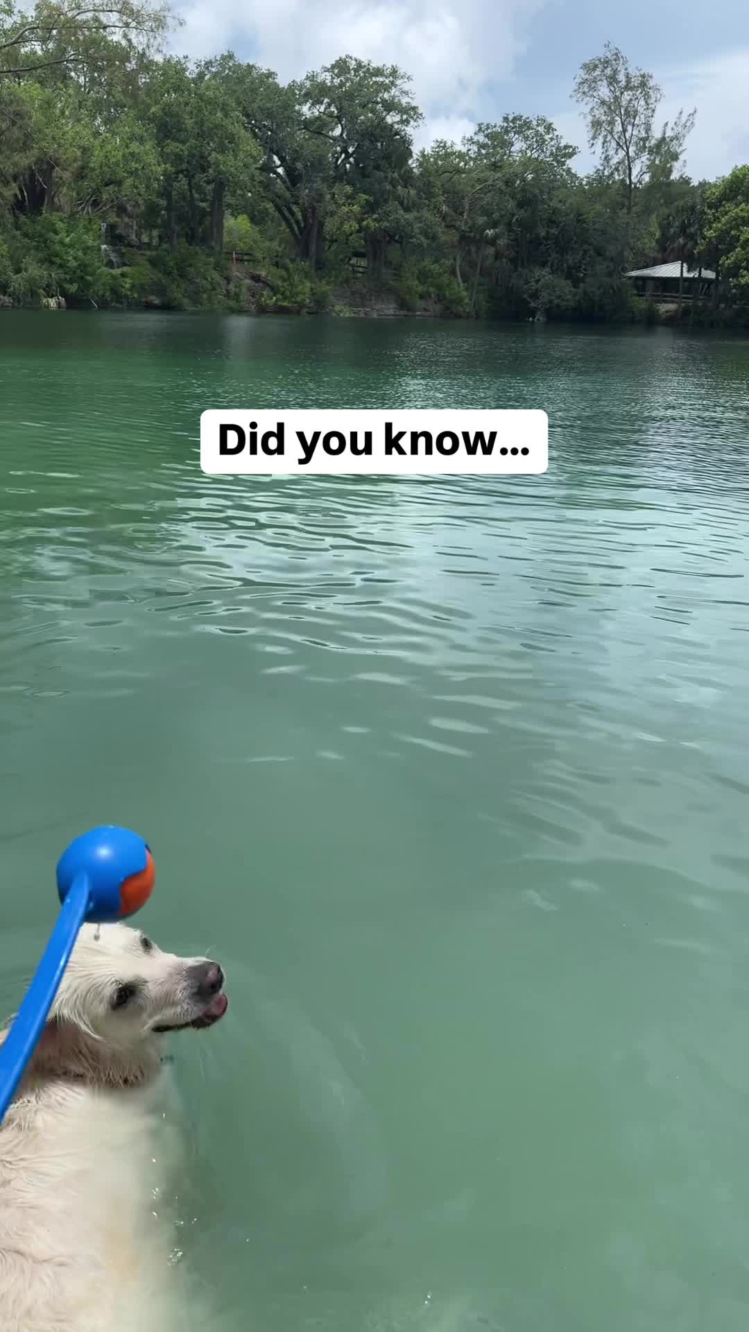 @PetFitness
