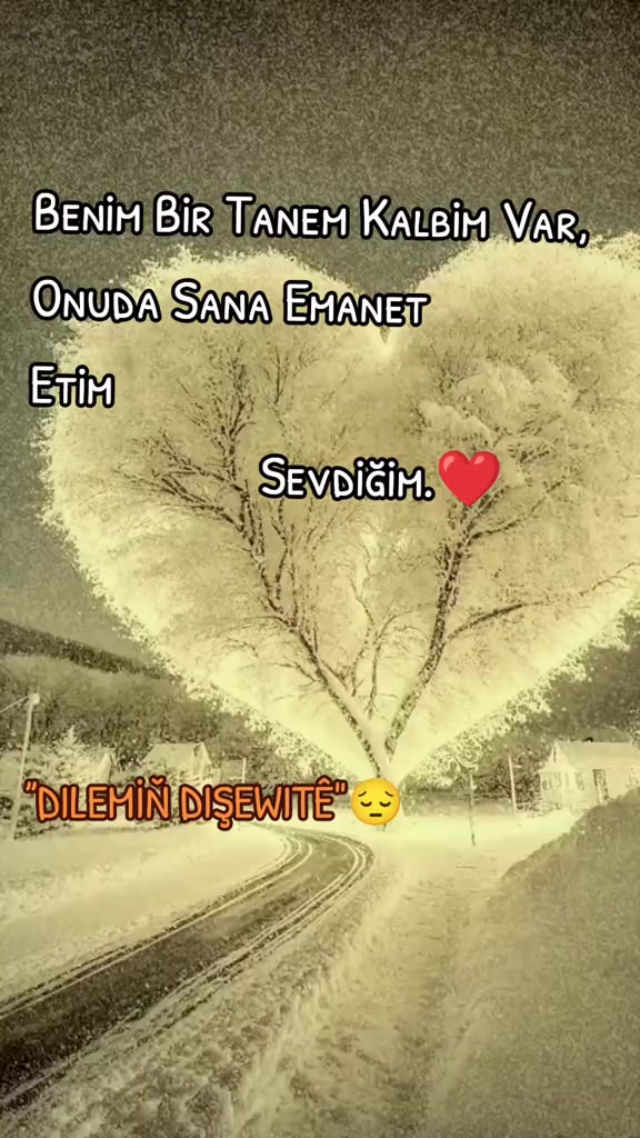 @DILEMİŇ DIŞEWITÊ"😔