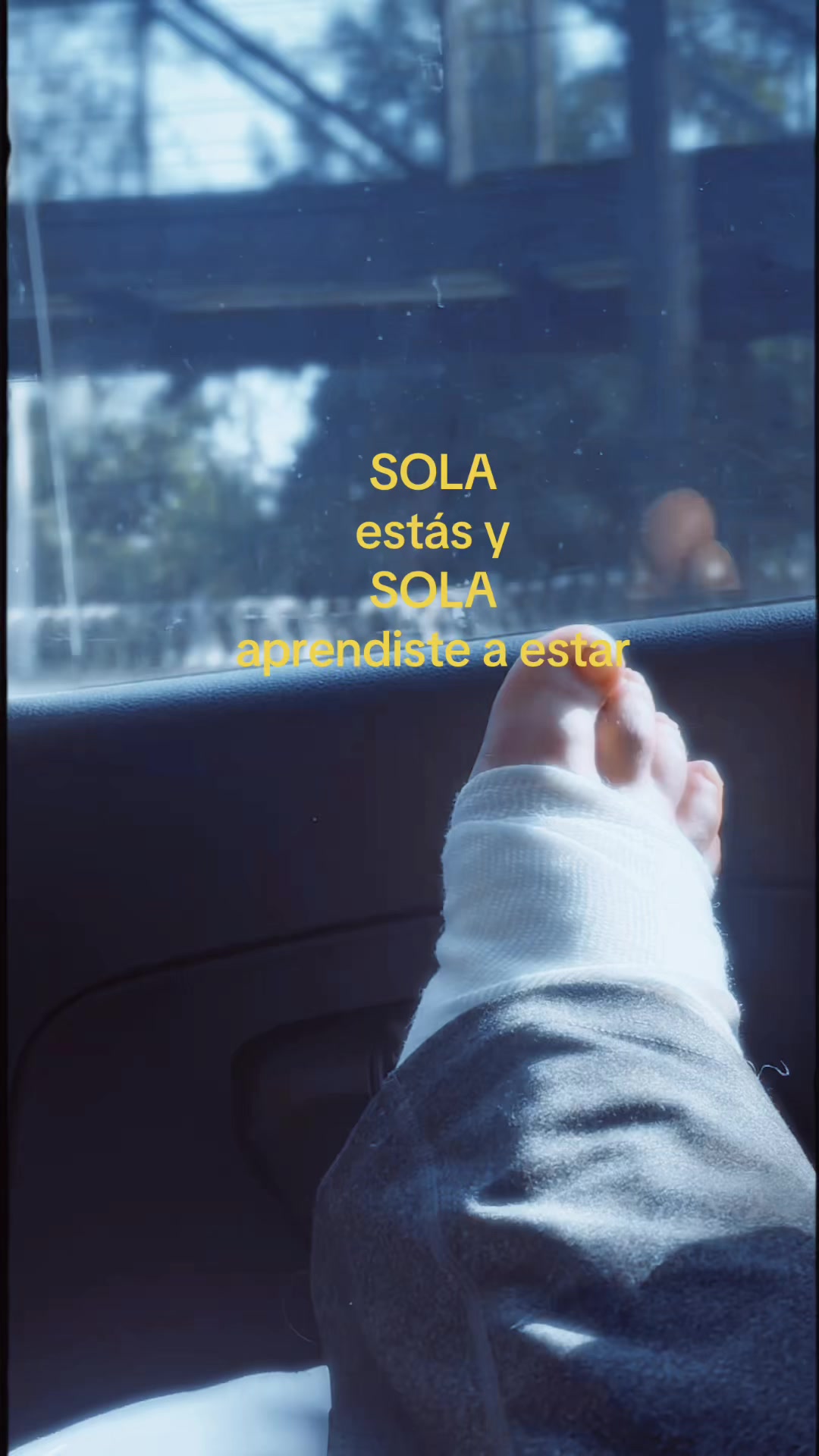 @Joselin Hernandez 🩵