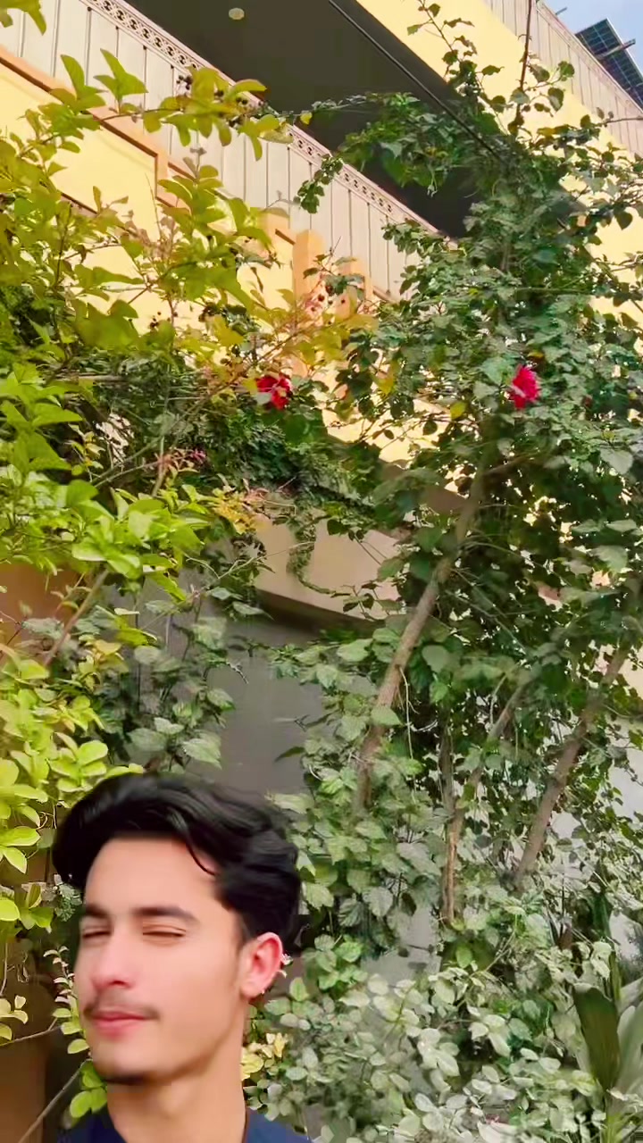 @★彡Hamidullah彡★