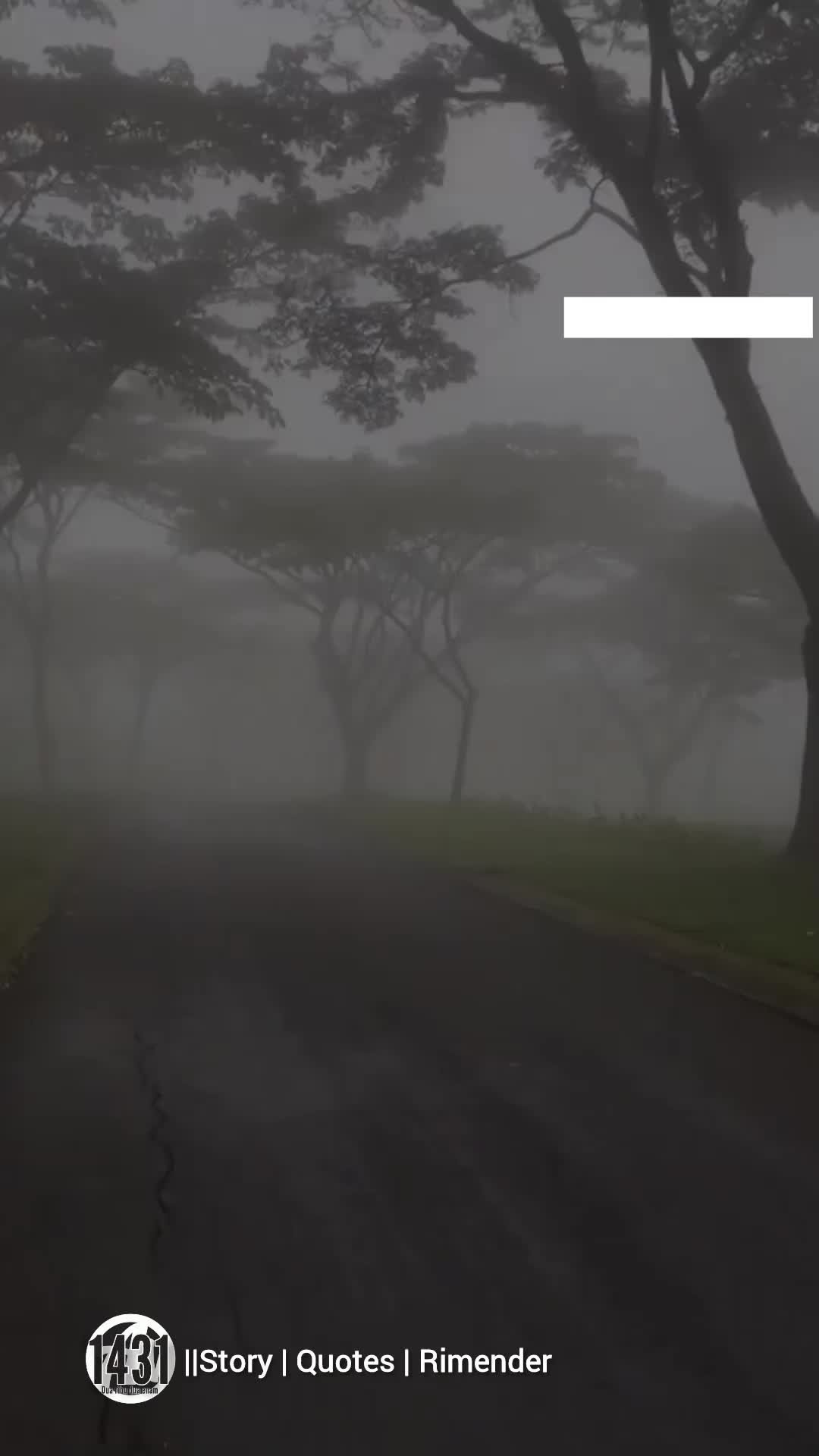 @๐ธ๐๐๐๐๐๐๐๐ฆ๐ฃ