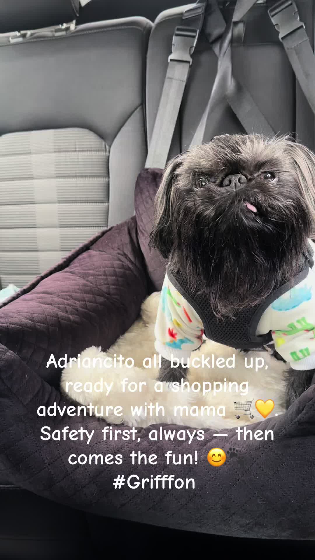 @LifeWithAdriancito