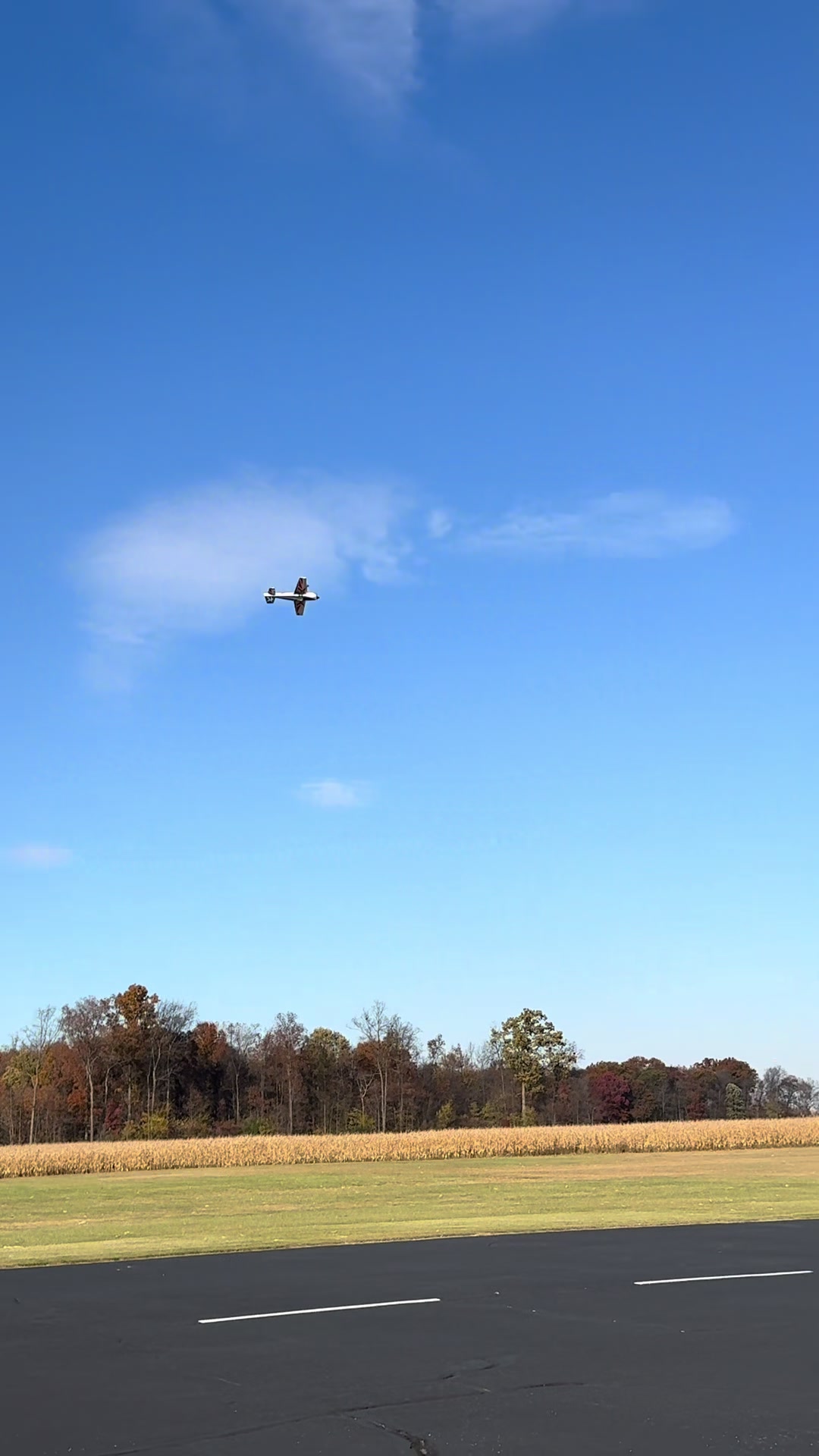 @Bauerschmidt 3D Aviation