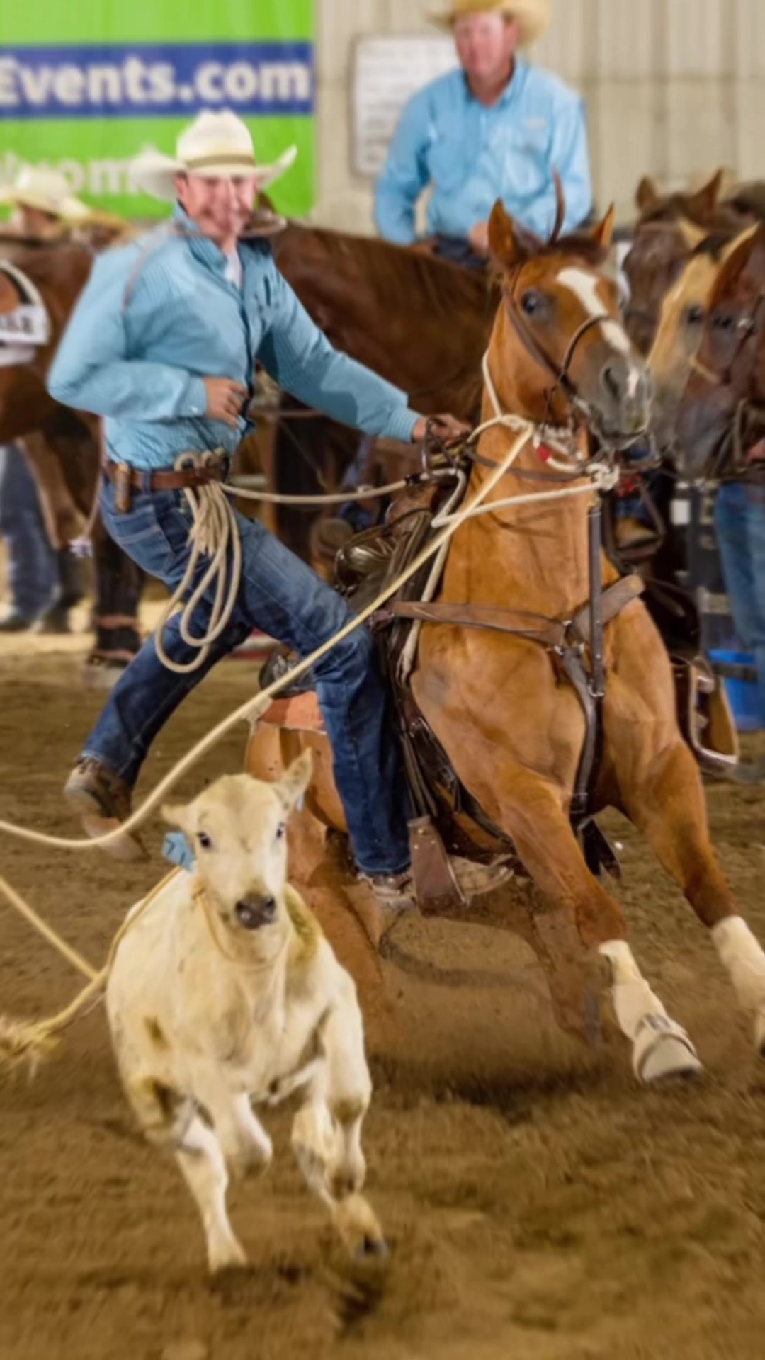 @88 Ranch Performance Horses