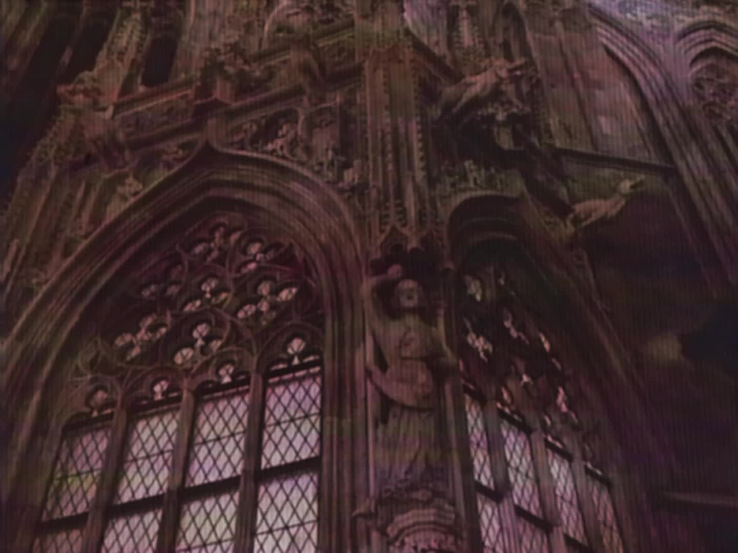 @𝖶𝖾𝗂𝗍 🇩🇪