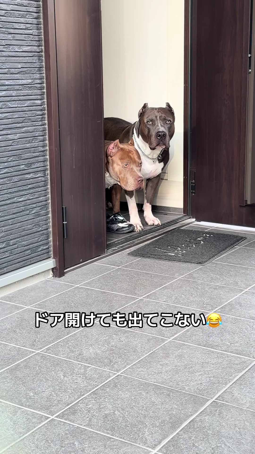 @BOSSใ ใ๐พ๐